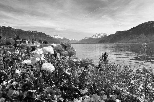 Papermoon Fototapete »Landschaft Schwarz & Weiß« günstig online kaufen