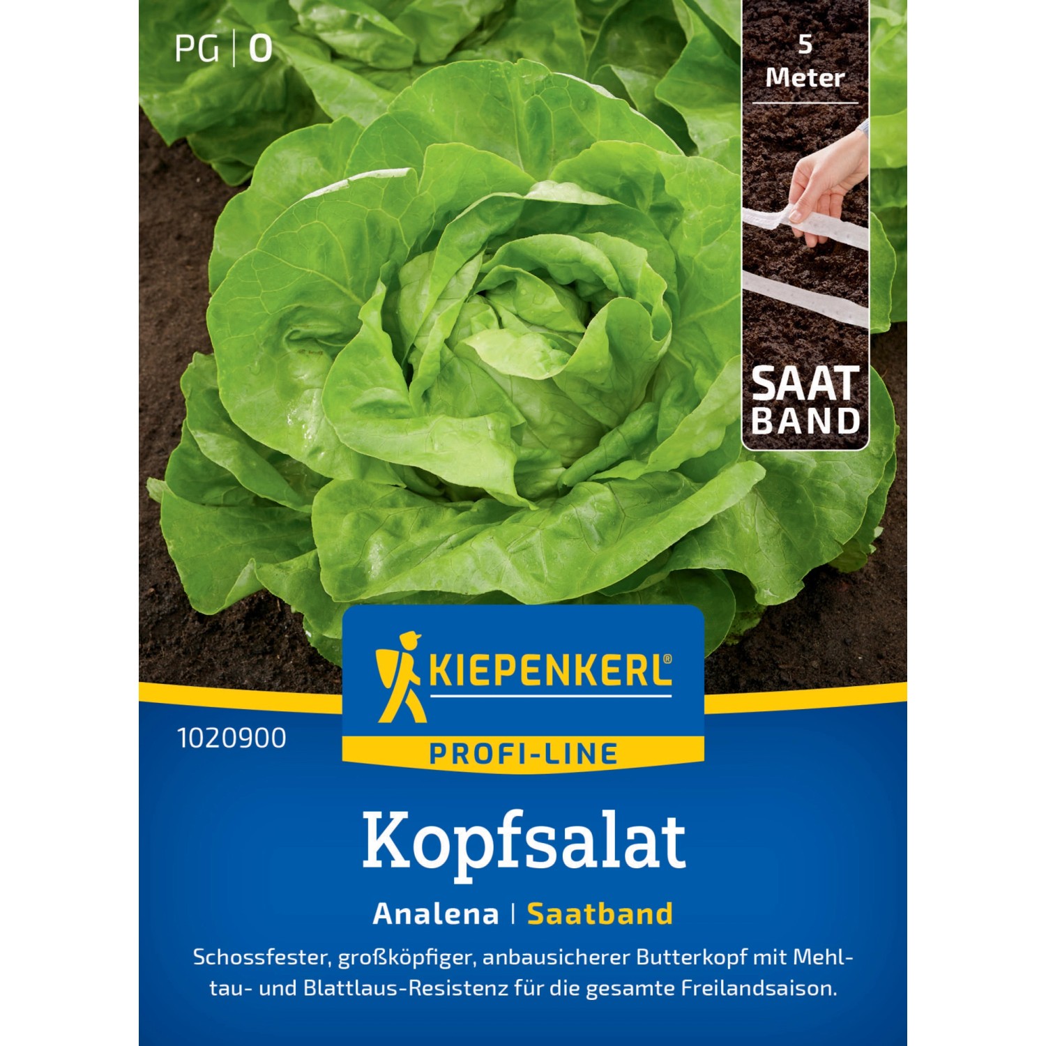 Kiepenkerl Kopfsalat Analena Saatband günstig online kaufen