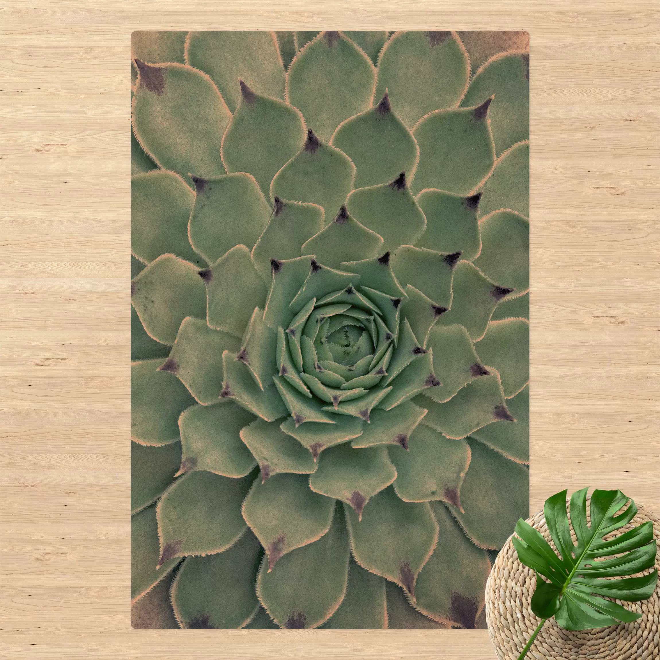 Kork-Teppich Kaktus Agave günstig online kaufen