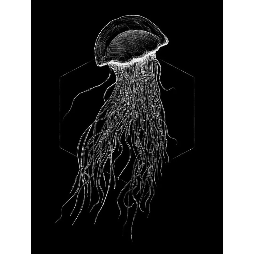 Komar Wandbild Jellyfish Black Tiere B/L: ca. 30x40 cm günstig online kaufen