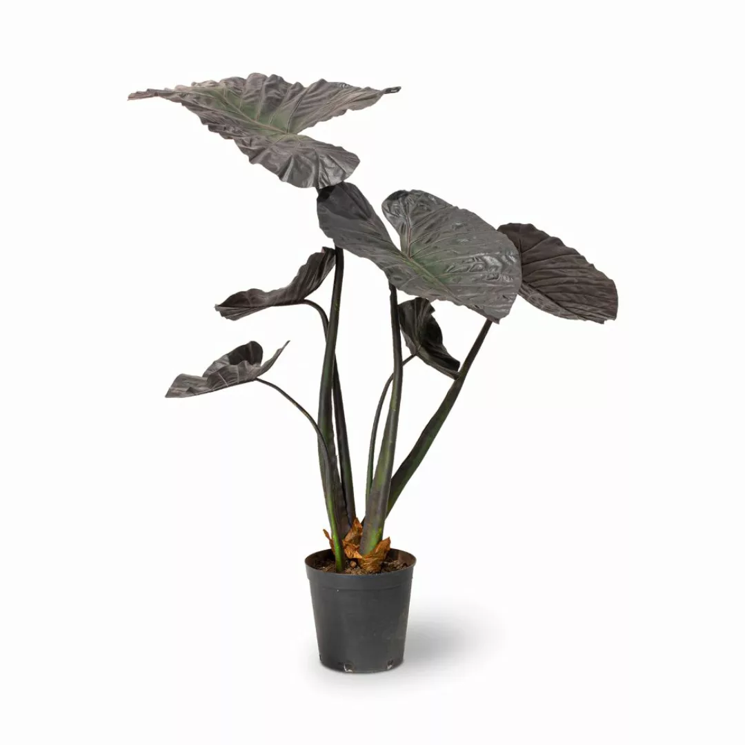 Pottery runder Blumentopf wellenartige Struktur Ø 50 cm, Höhe 44 cm grau günstig online kaufen