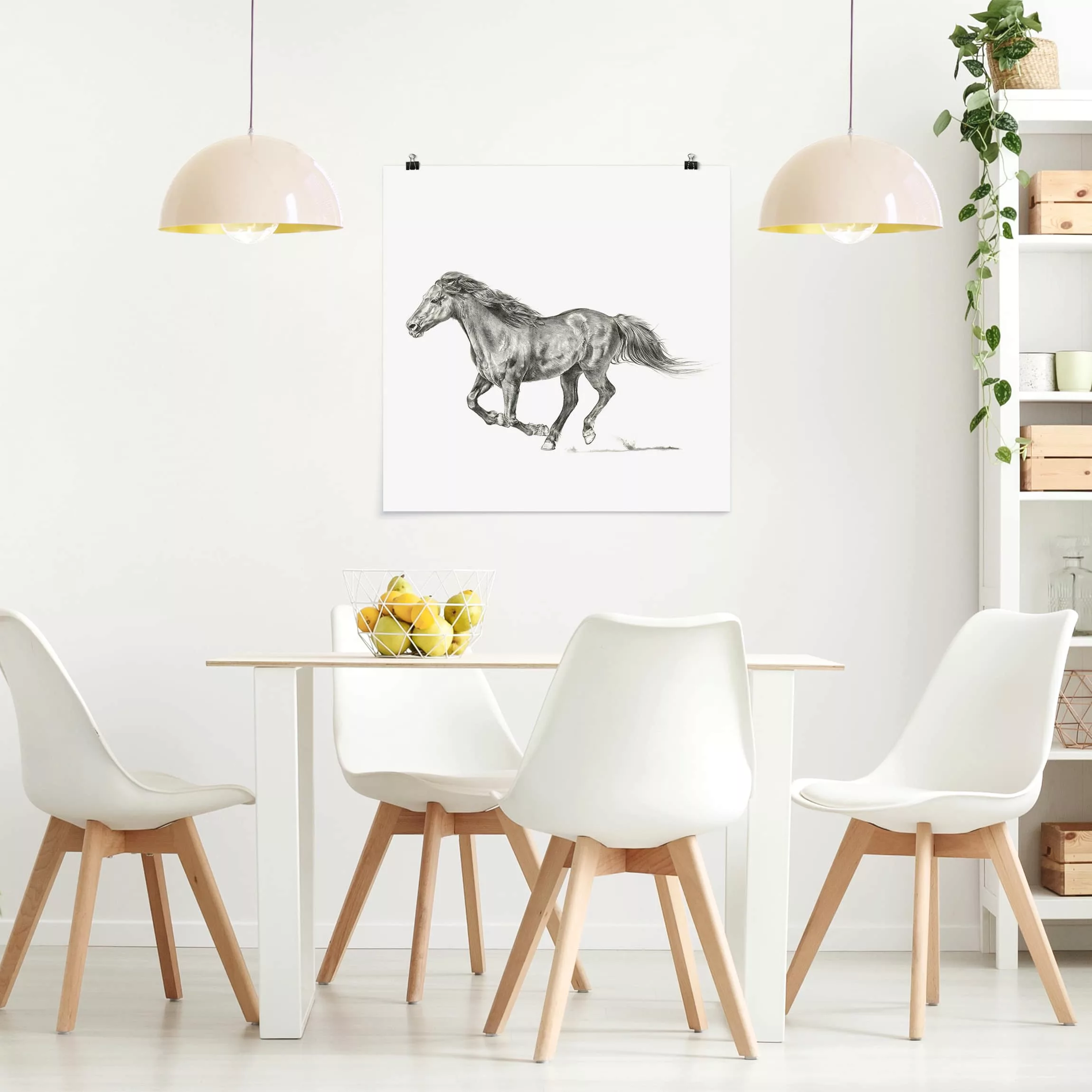 Poster Tiere - Quadrat Wildpferd-Studie - Stute günstig online kaufen