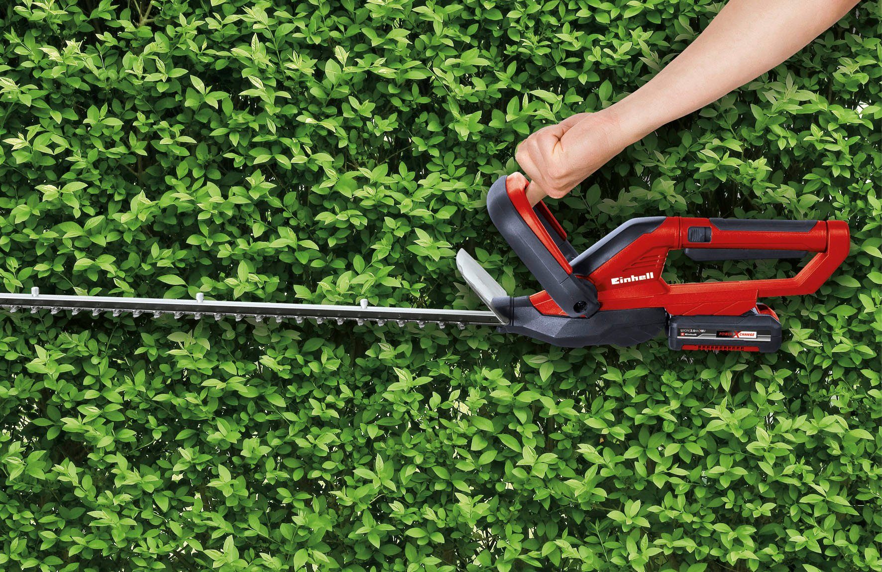 Einhell Akku-Heckenschere GC-CH 1855/1 Li Kit, günstig online kaufen