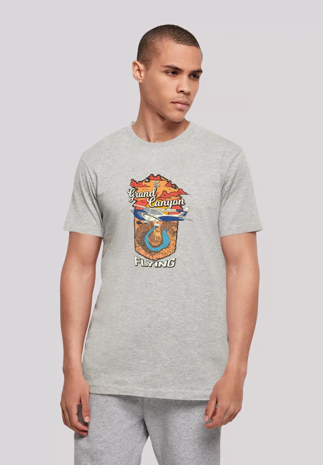 F4NT4STIC T-Shirt "Grand Canyon Flying", Print günstig online kaufen