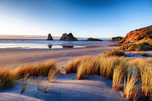 Papermoon Fototapete »DÜNEN-WHARARIKI BEACH MEER SEE KÜSTE STRAND SYLT BAUM günstig online kaufen