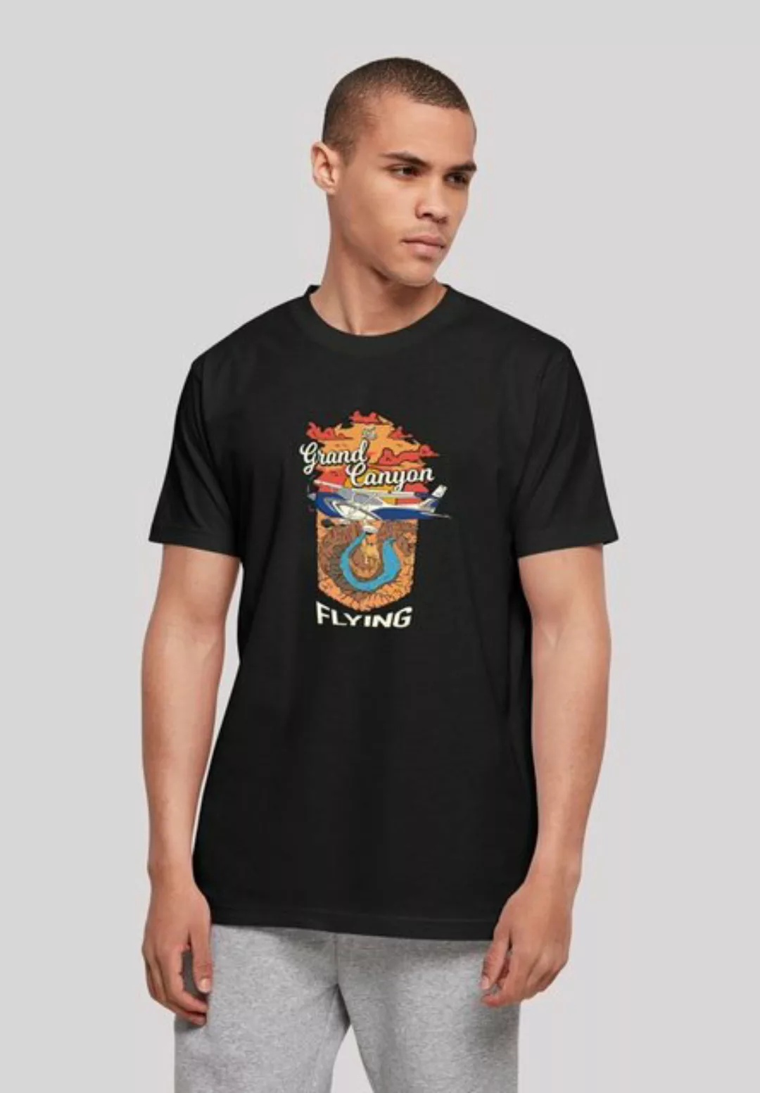 F4NT4STIC T-Shirt Grand Canyon Flying Print günstig online kaufen