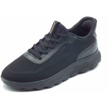Geox  Sneaker D557MA Spherica günstig online kaufen