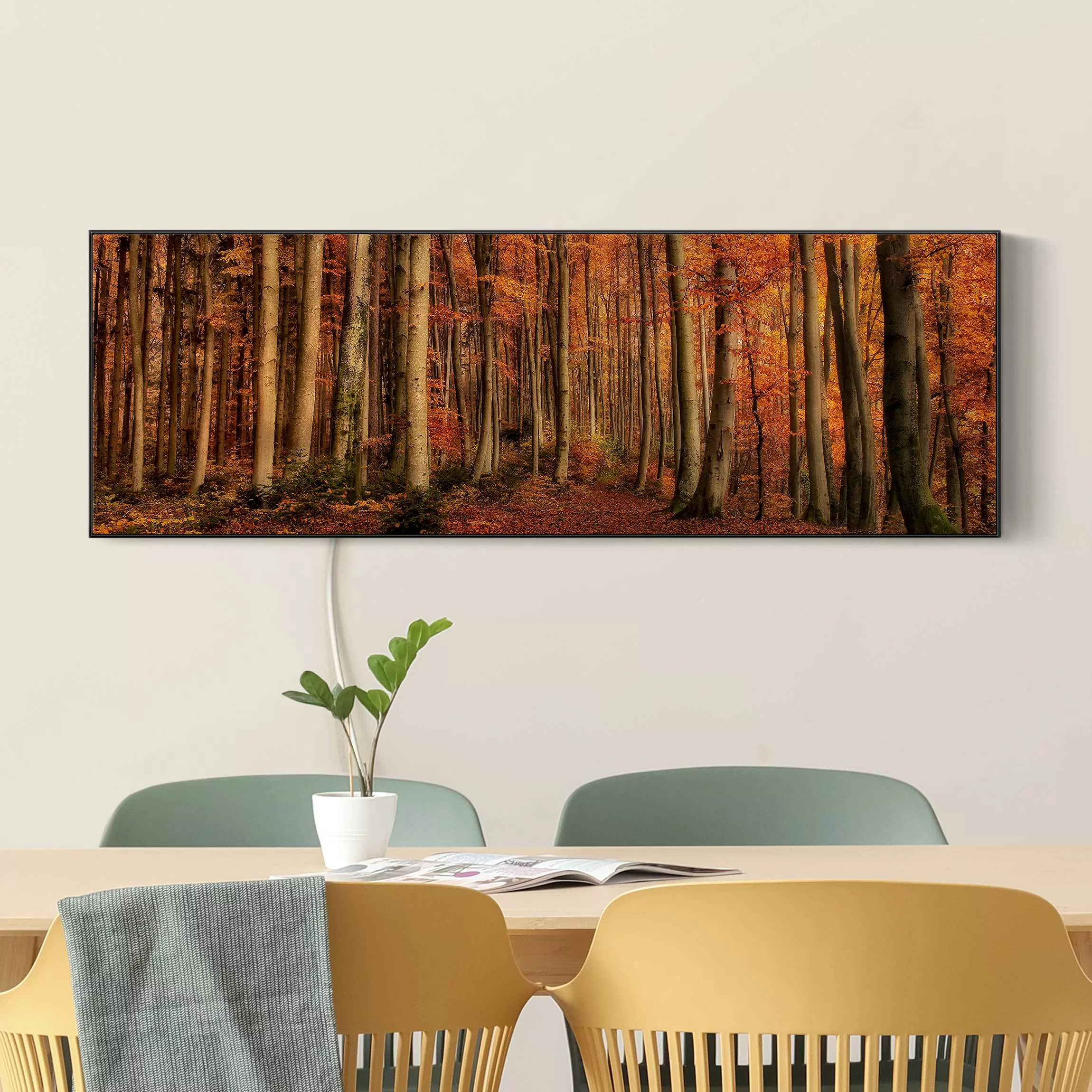 LED-Wechselbild Herbstspaziergang günstig online kaufen