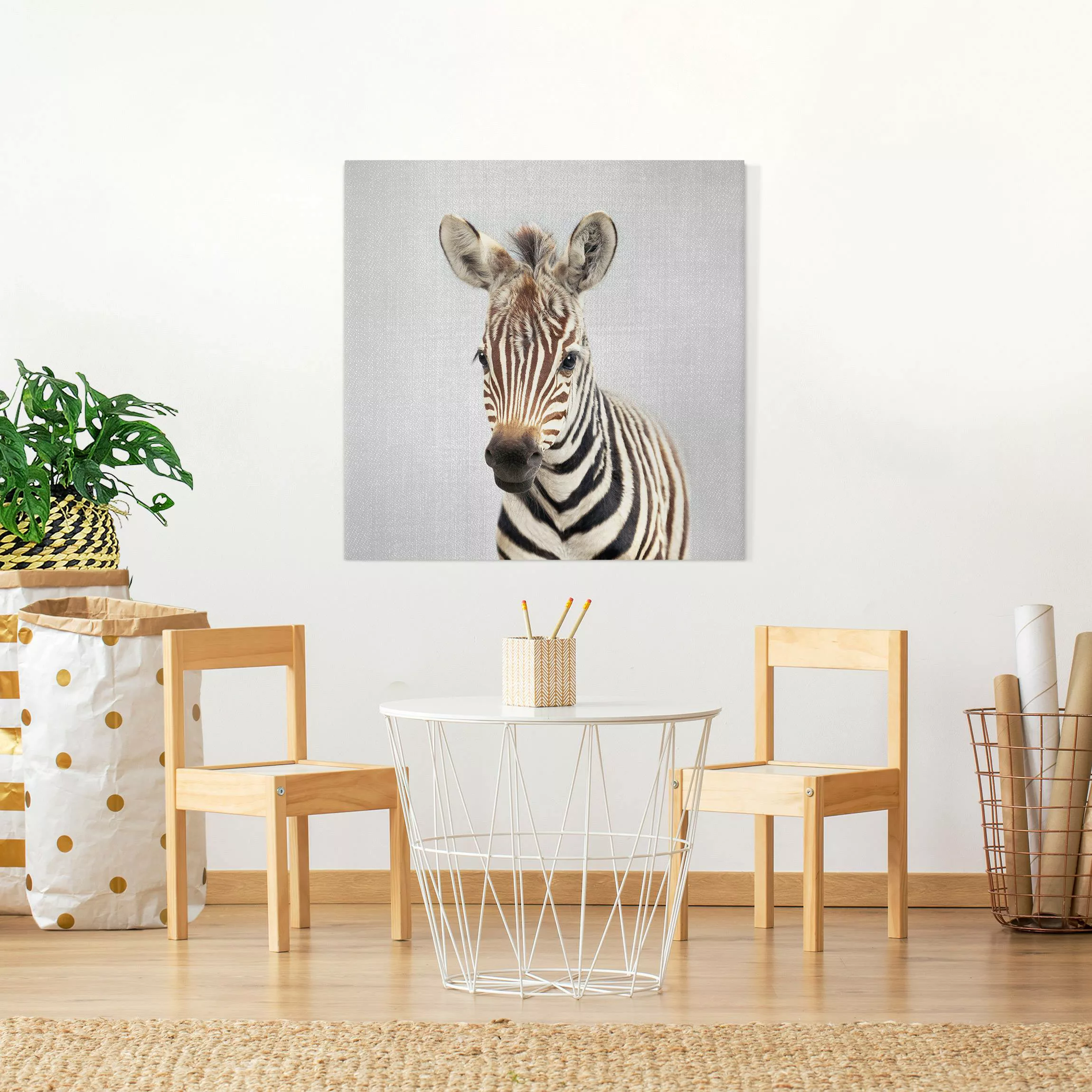 Leinwandbild Baby Zebra Zoey günstig online kaufen