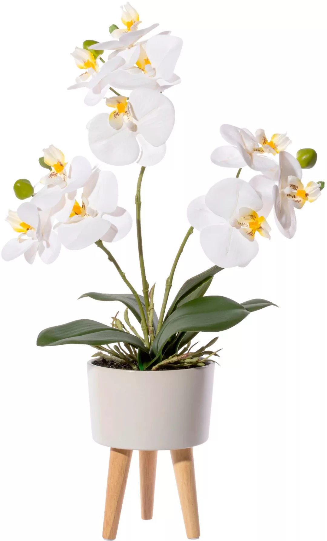 Creativ green Kunstorchidee "Orchidee Phalaenopsis in Keramikschale" günstig online kaufen