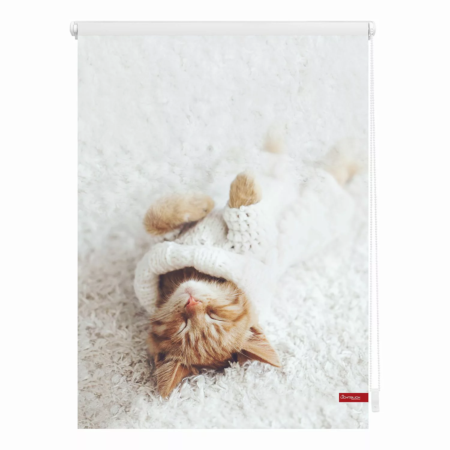 LICHTBLICK ORIGINAL Seitenzugrollo »Klemmfix Digital Sleepy Cat«, verdunkel günstig online kaufen