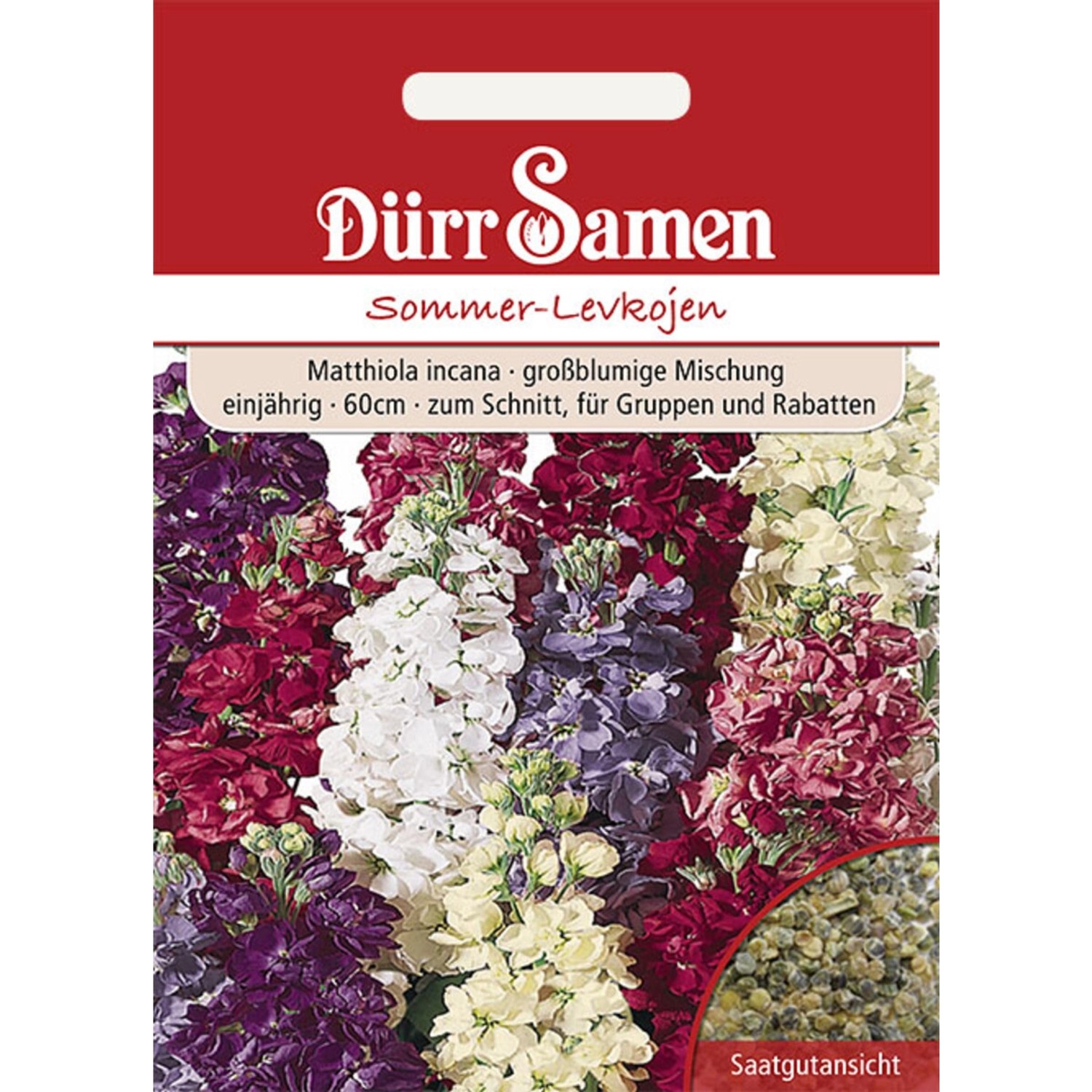 Dürr Samen Sommer-Levkojen Mischung Einjährig Saatgut günstig online kaufen