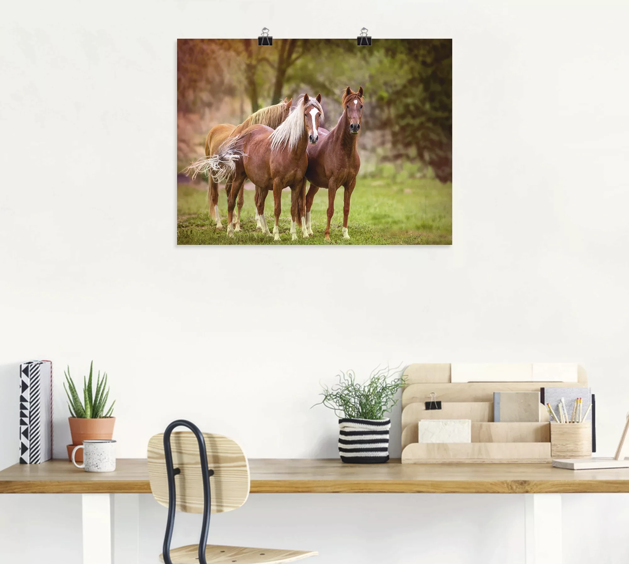 Artland Wandbild "Pferde in den Feldern I", Haustiere, (1 St.) günstig online kaufen