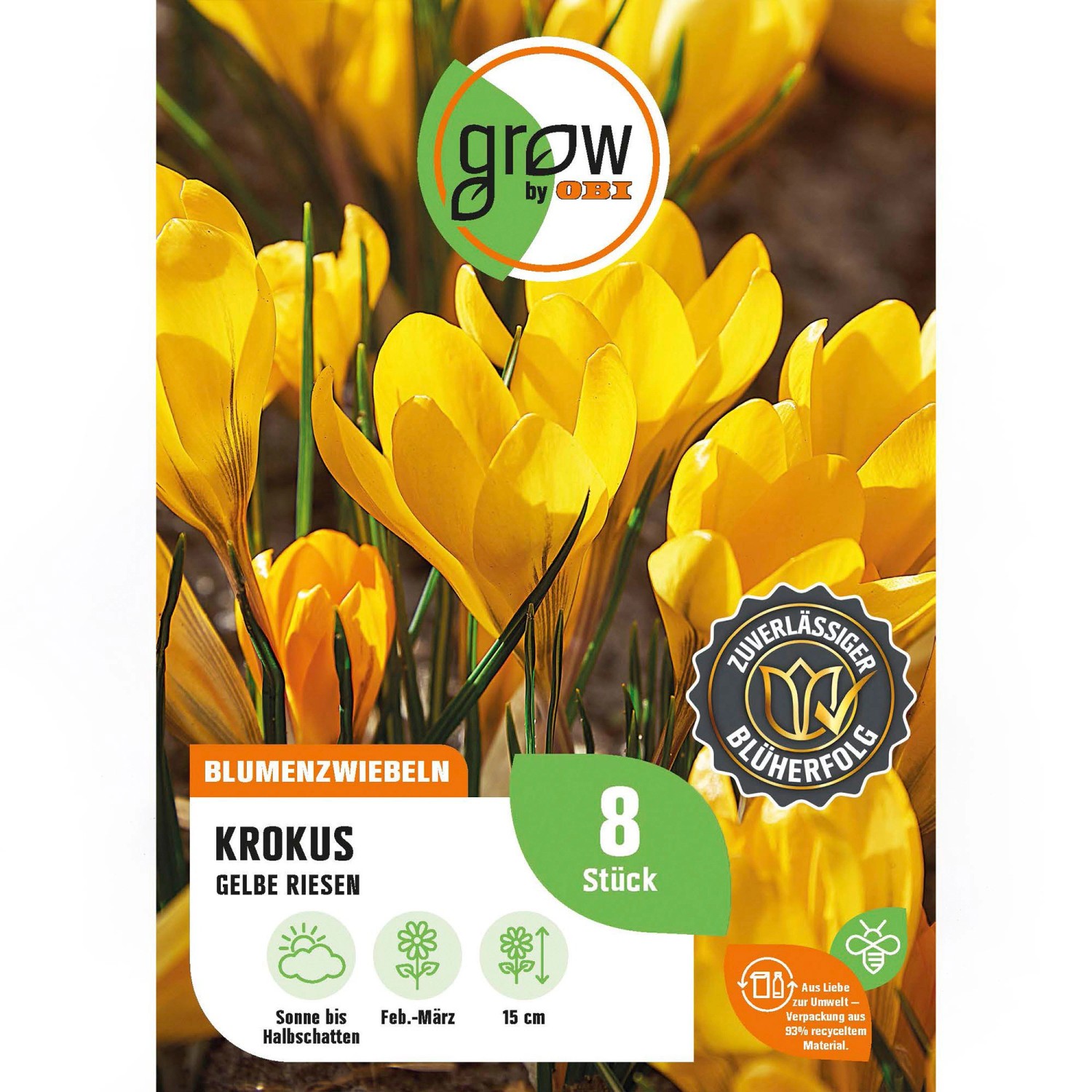 GROW by OBI Krokus Gelbe Riesen Gelb 8 Stück Crocus flavus Yellow günstig online kaufen