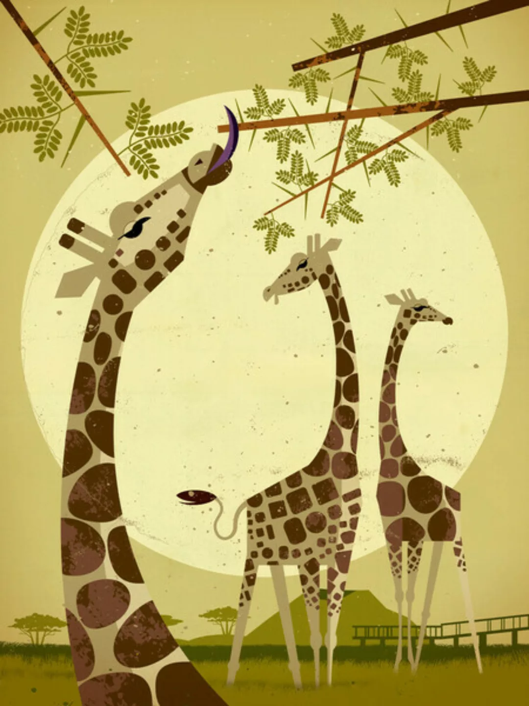 Poster / Leinwandbild - Giraffen günstig online kaufen