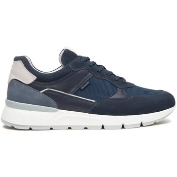 NeroGiardini  Sneaker NGUPE25-500642-inc günstig online kaufen