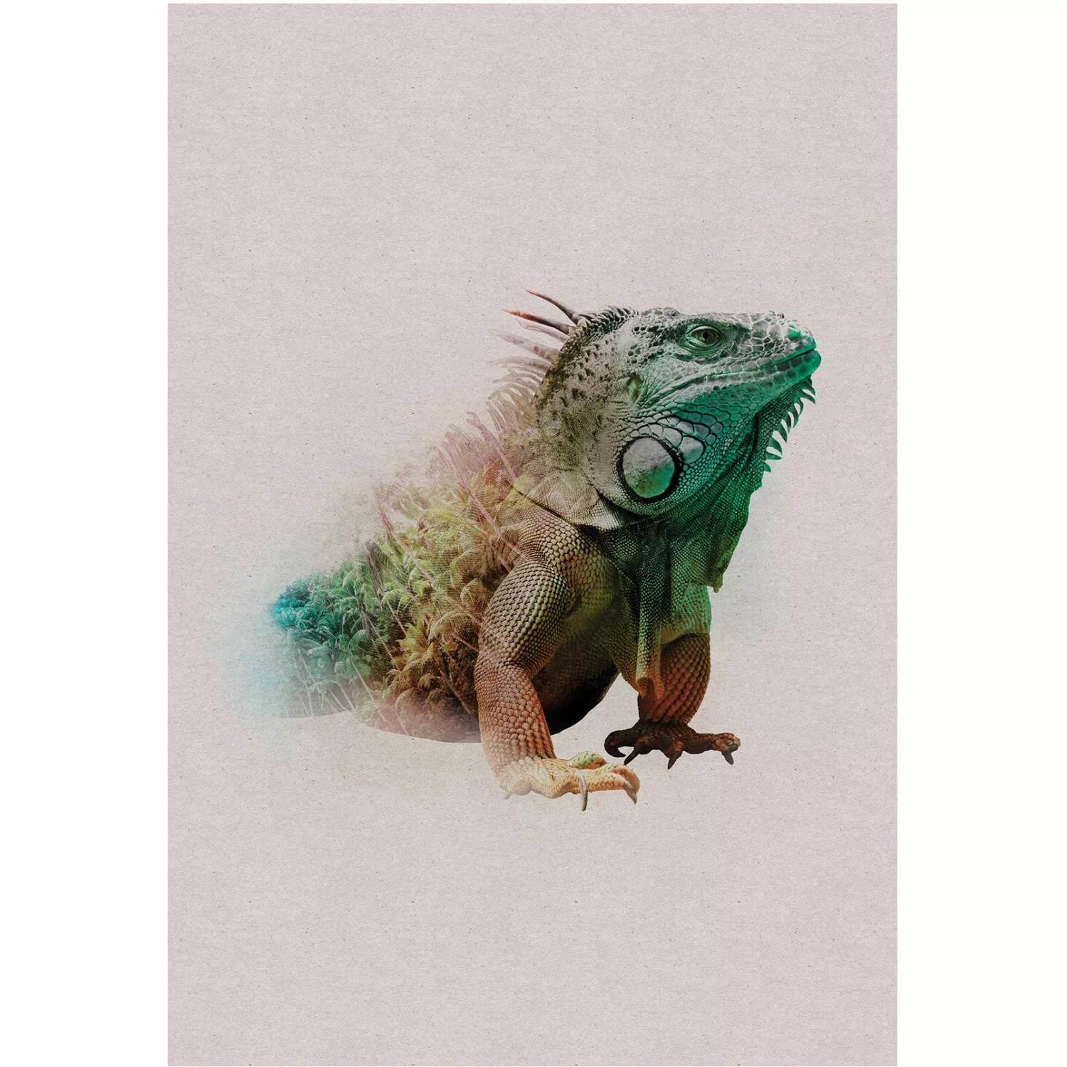 Komar Poster »Animals Paradise Iguana«, Tiere, (1 St.), Kinderzimmer, Schla günstig online kaufen