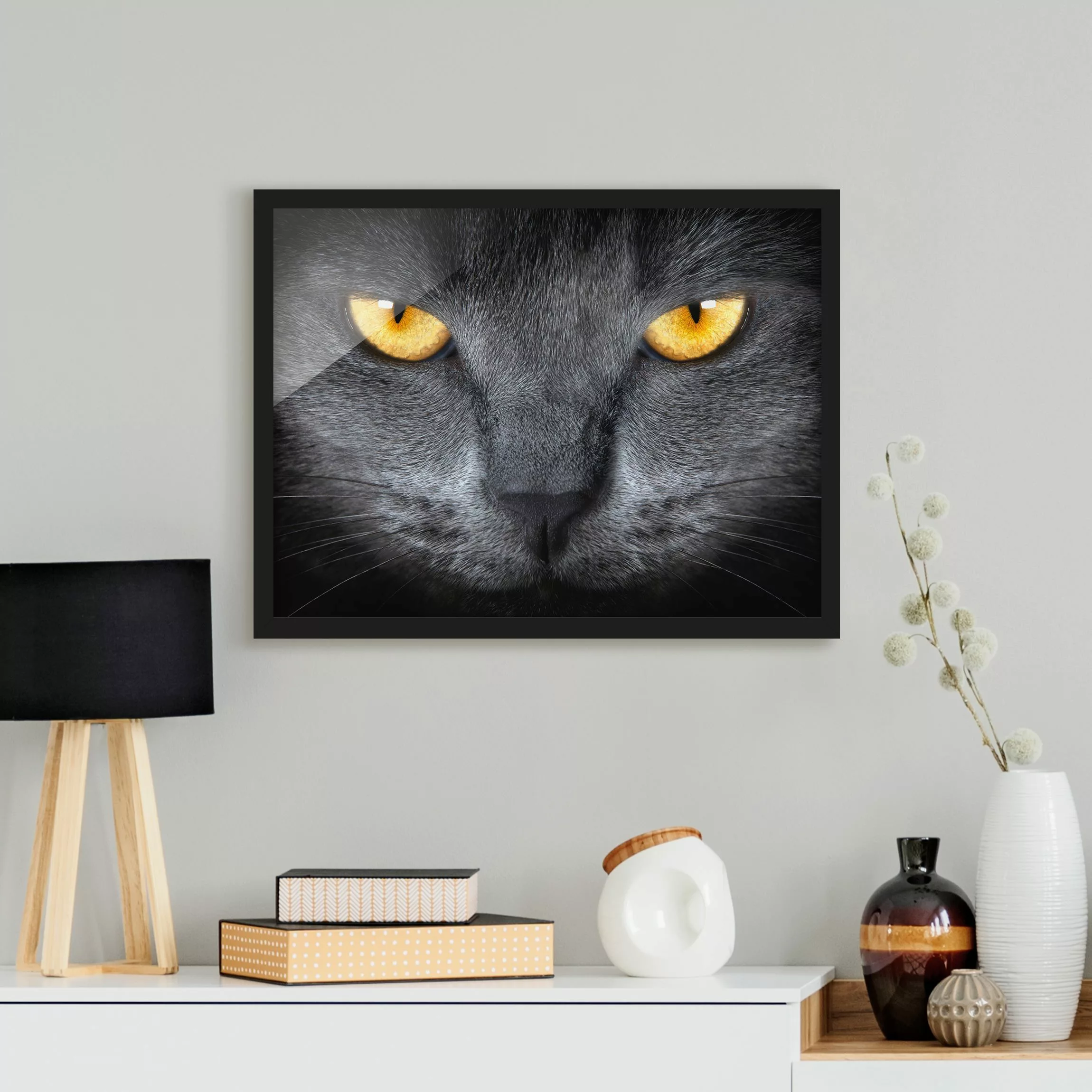 Bild mit Rahmen - Querformat Cats Gaze günstig online kaufen