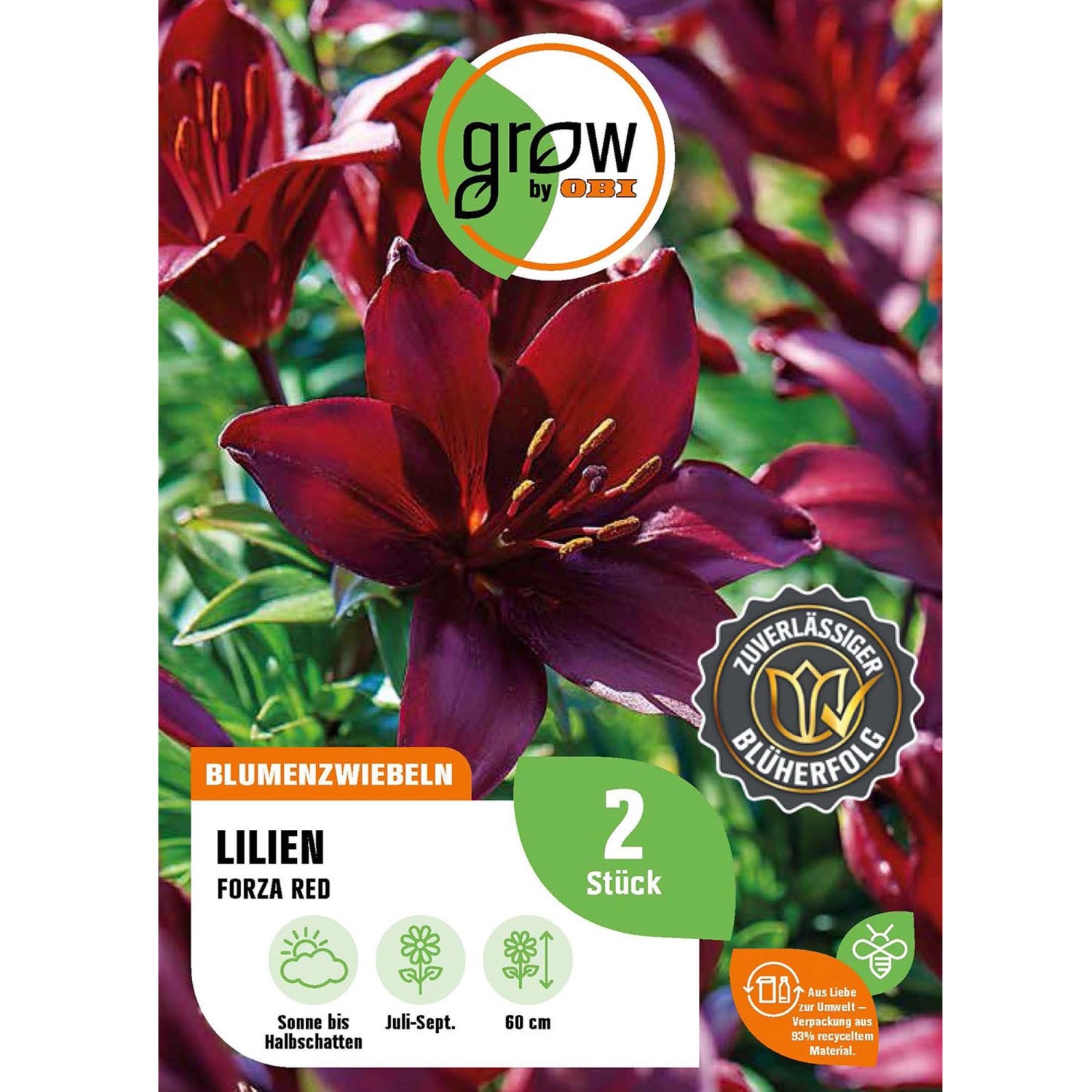 GROW by OBI Lilie Forza Red Höhe ca. 60 cm Lilium asatic günstig online kaufen