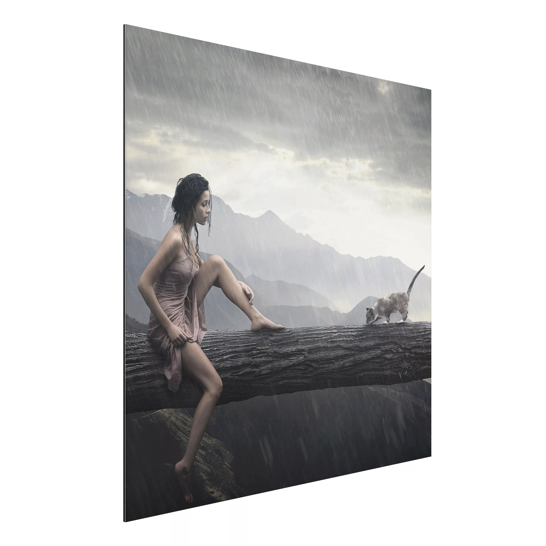 Alu-Dibond Bild Akt & Erotik - Quadrat Jane in the Rain günstig online kaufen