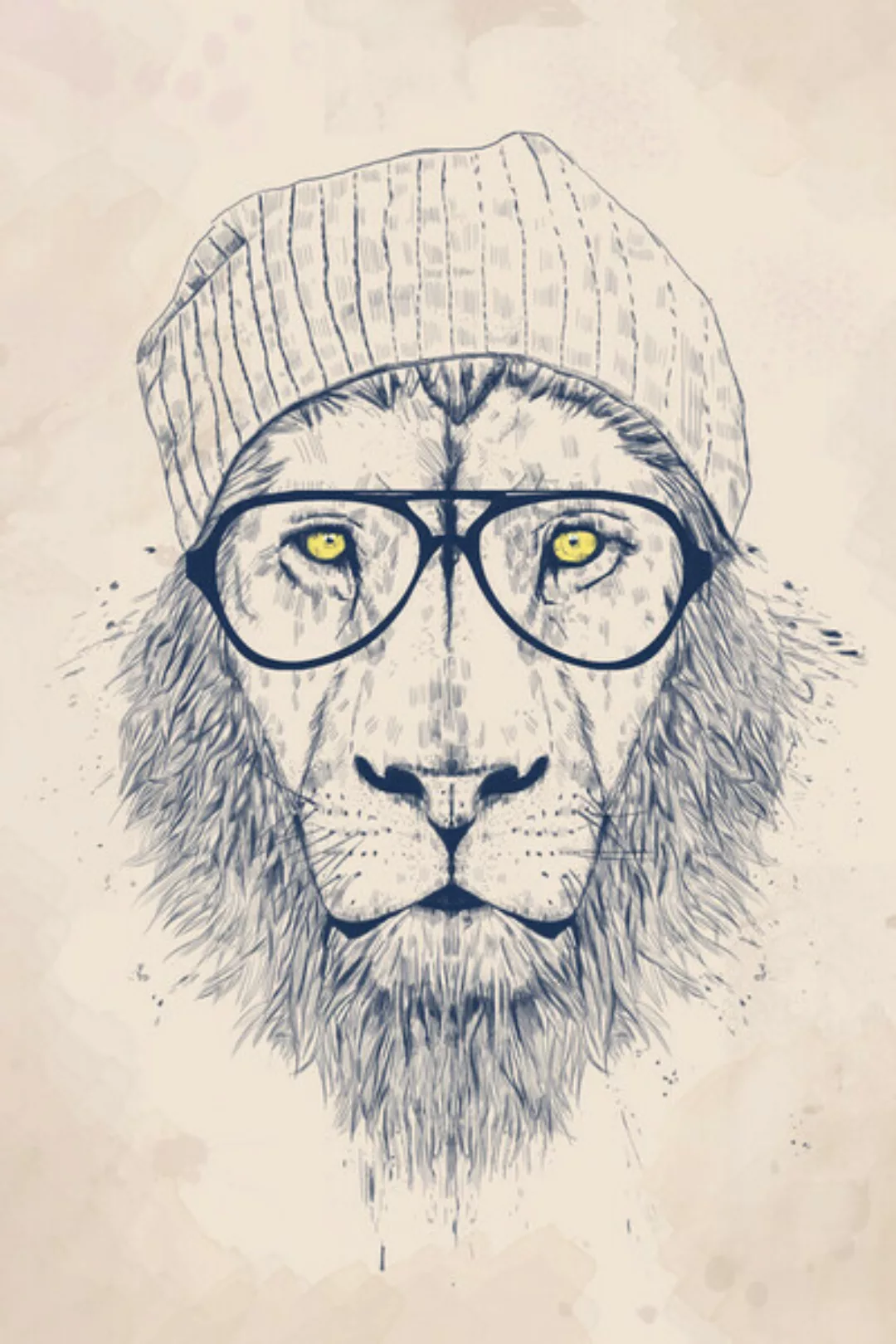 Poster / Leinwandbild - Cool Lion günstig online kaufen