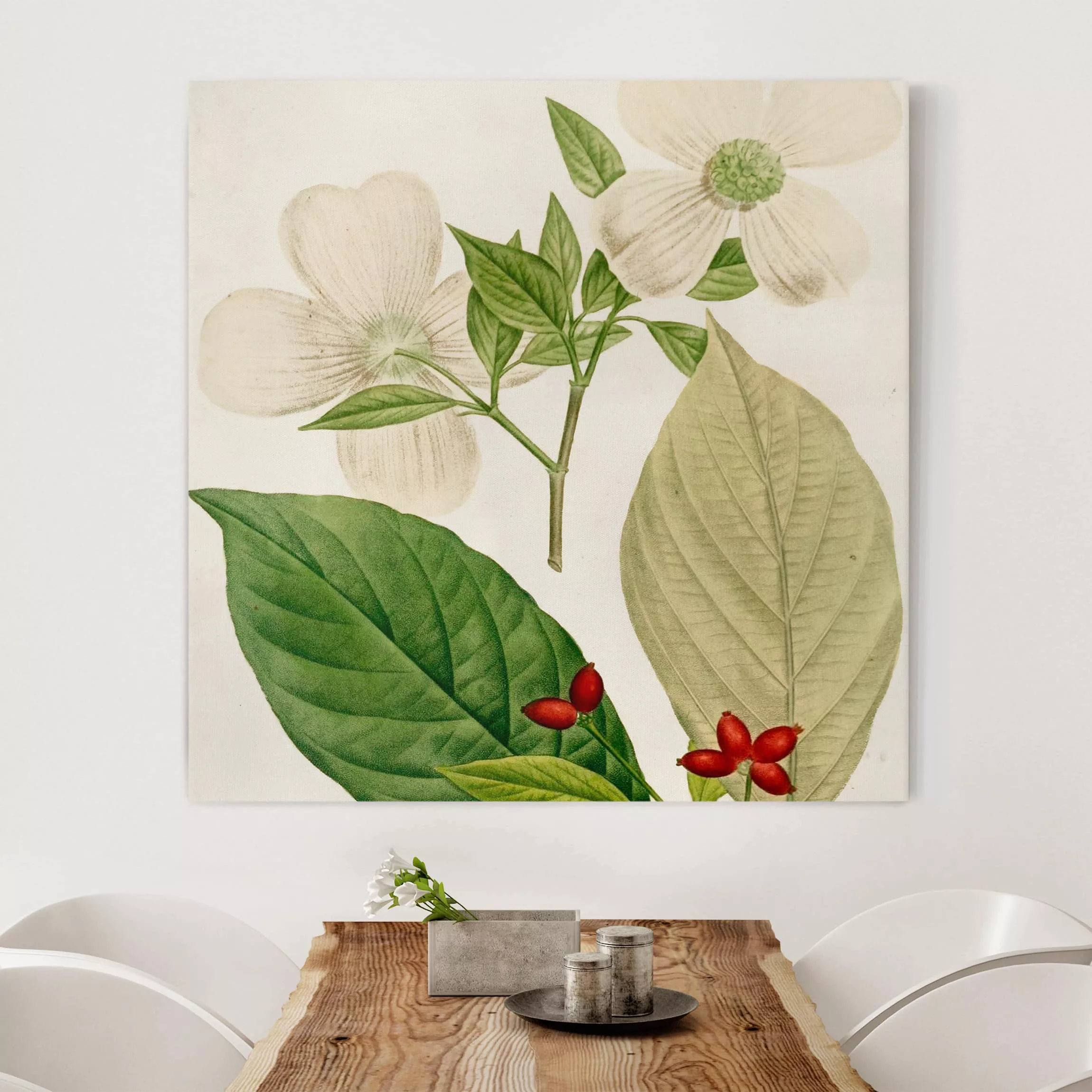 Leinwandbild Botanik - Quadrat Tableau Blatt Blüte Frucht III günstig online kaufen