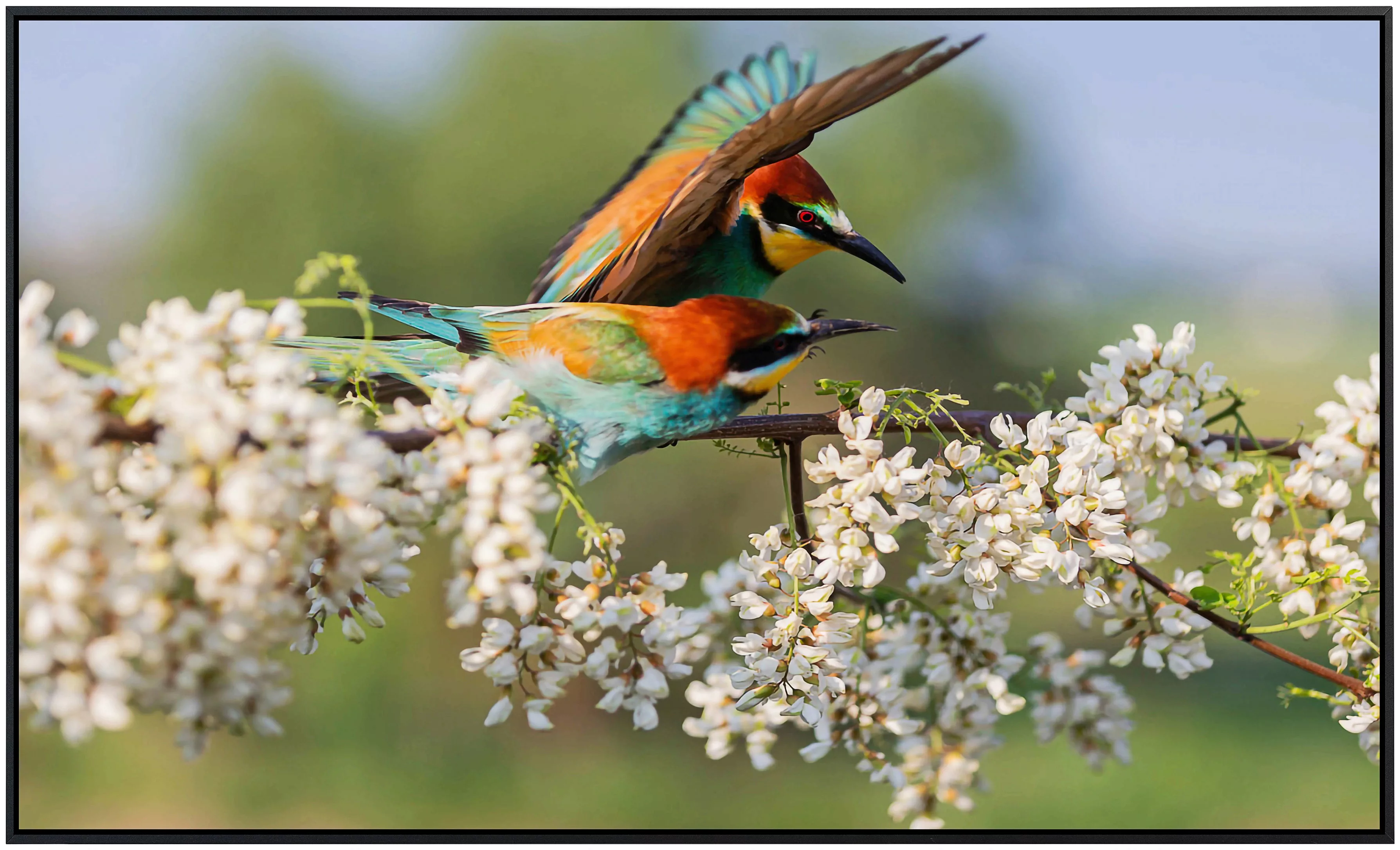 Papermoon Infrarotheizung »Vögel« günstig online kaufen