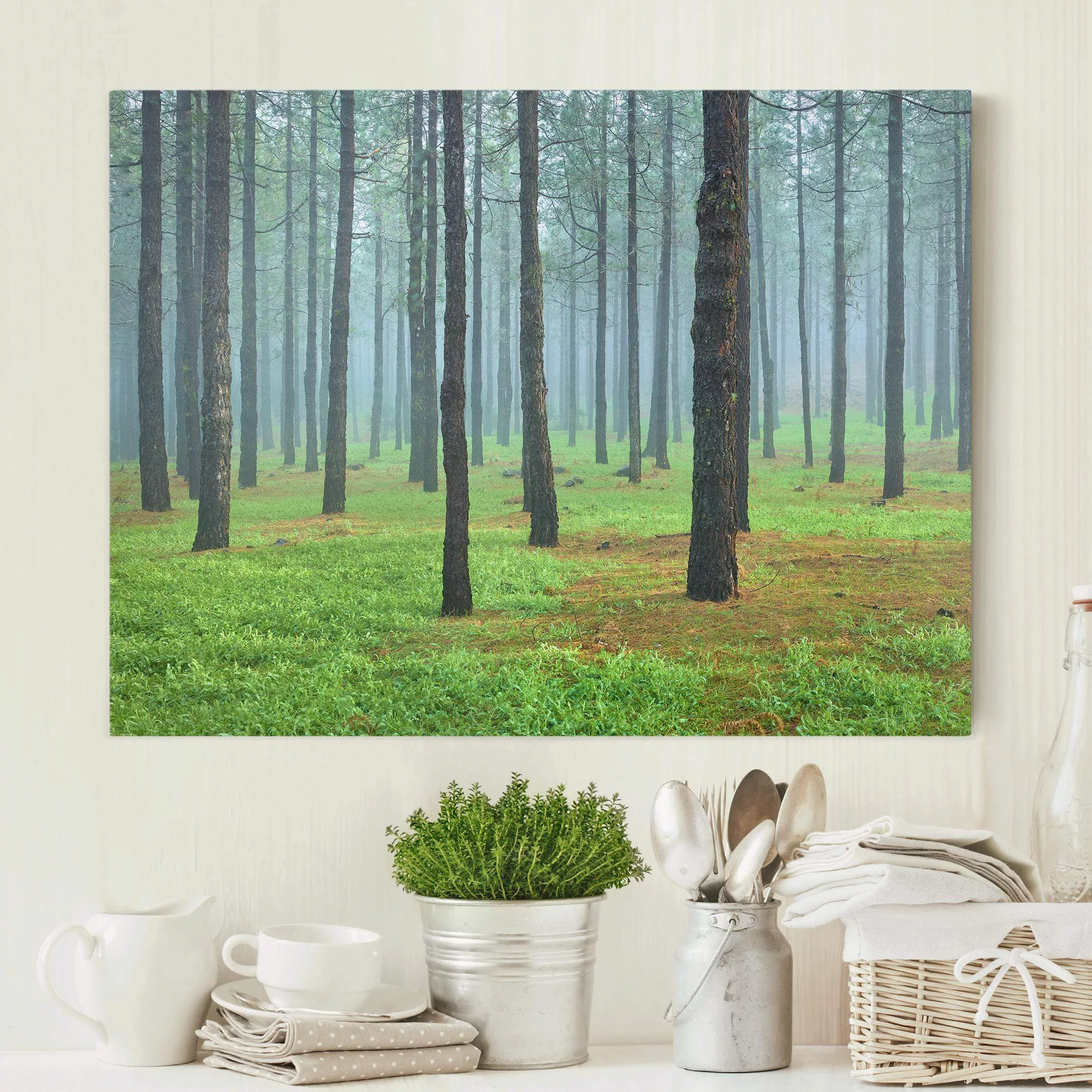 Leinwandbild Wald - Panorama Tiefer Wald mit Kiefern auf La Palma günstig online kaufen