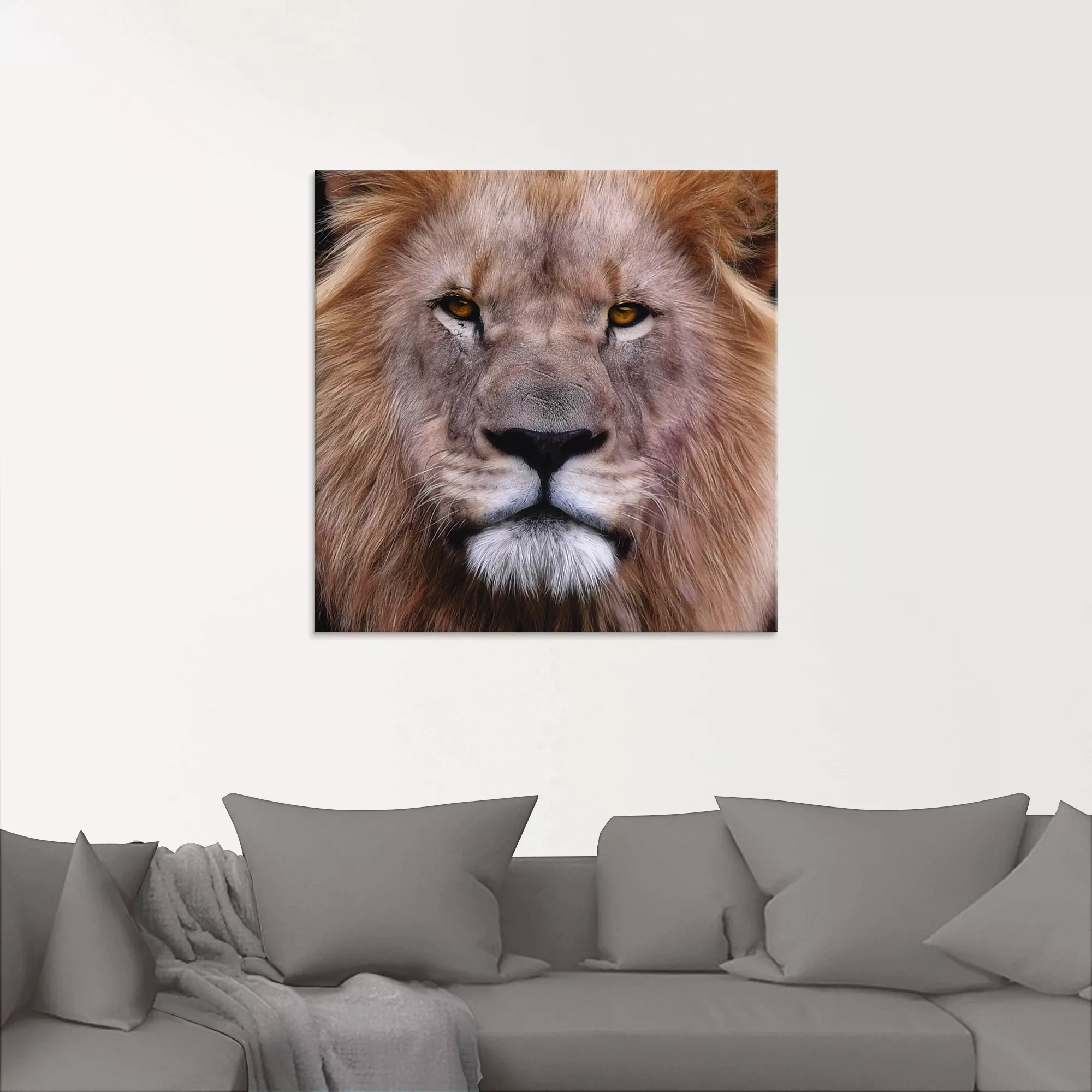Artland Glasbild »König der Löwen«, Wildtiere, (1 St.), in verschiedenen Gr günstig online kaufen