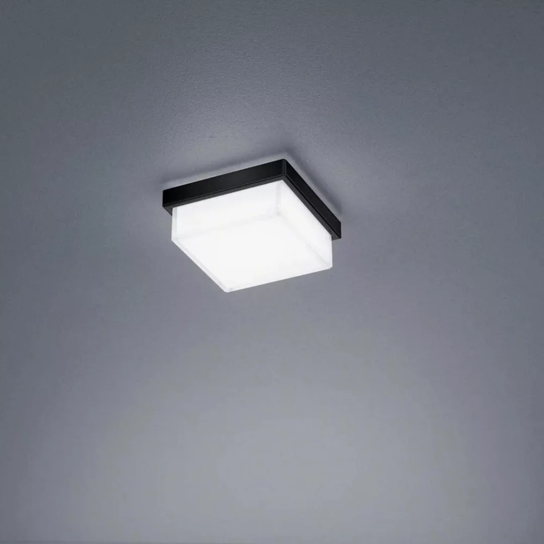 LED Deckenleuchte Cosi in Schwarz-matt 7W 610lm günstig online kaufen