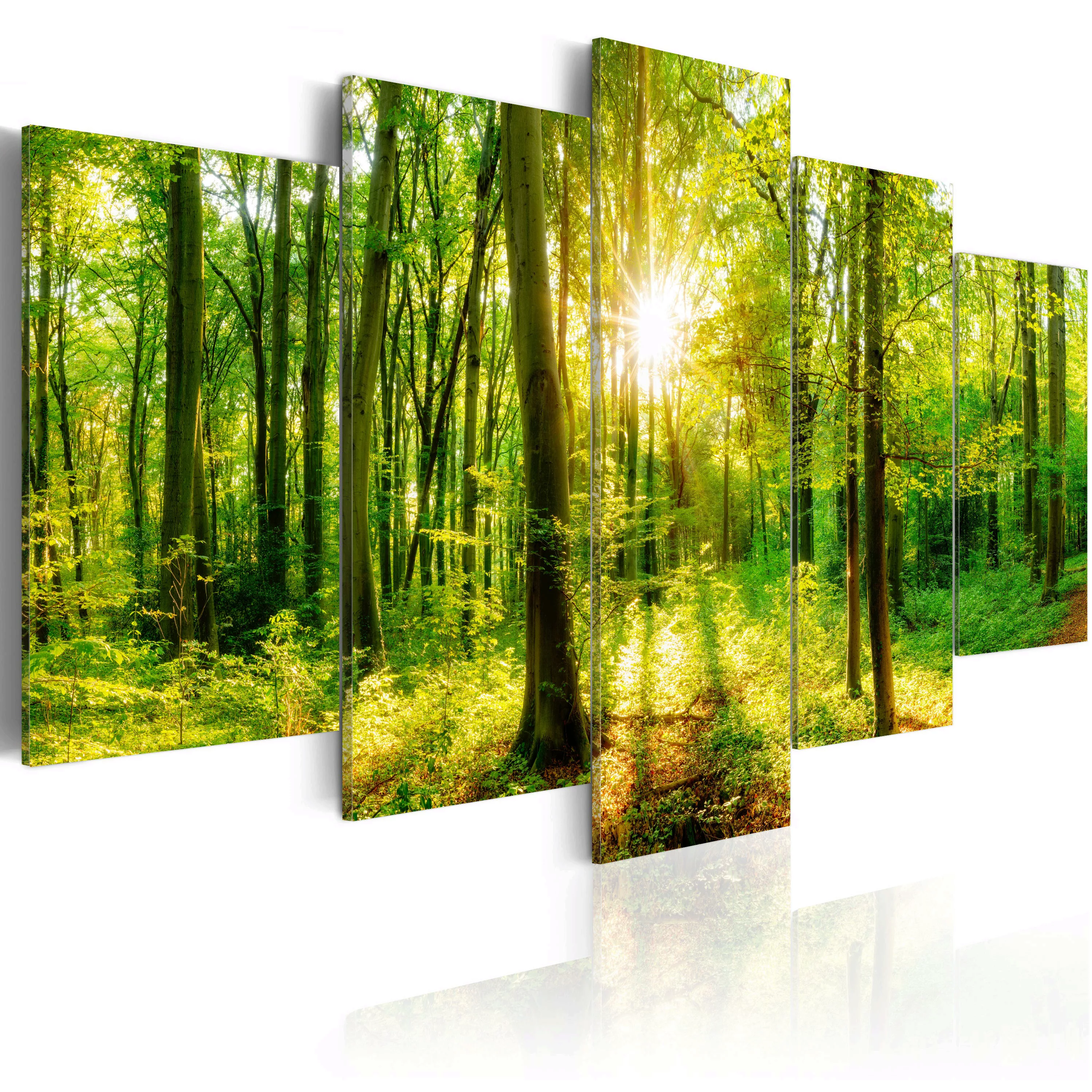 Wandbild - Forest Tale günstig online kaufen