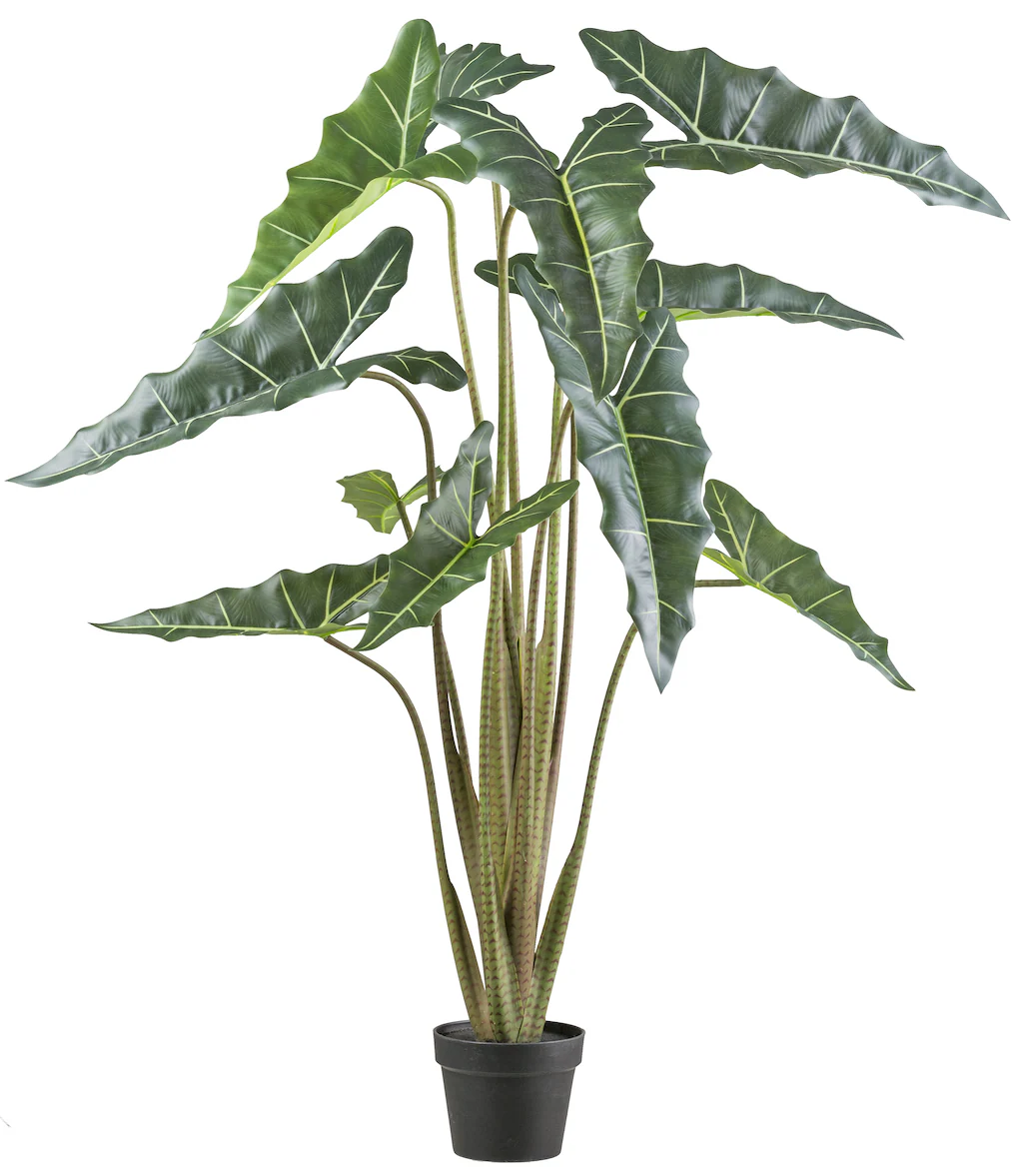 Creativ green Kunstpflanze "Alocasia zebrina sarian", mit gestreiftem Stamm günstig online kaufen