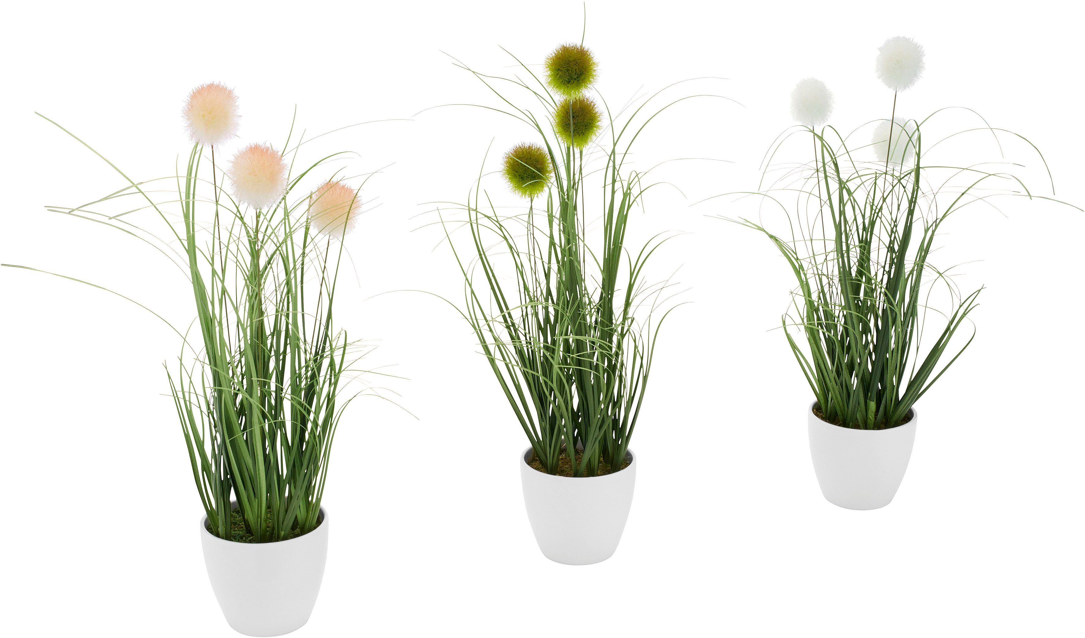 Kunstgras Grasbusch, Creativ green, Höhe 36 günstig online kaufen