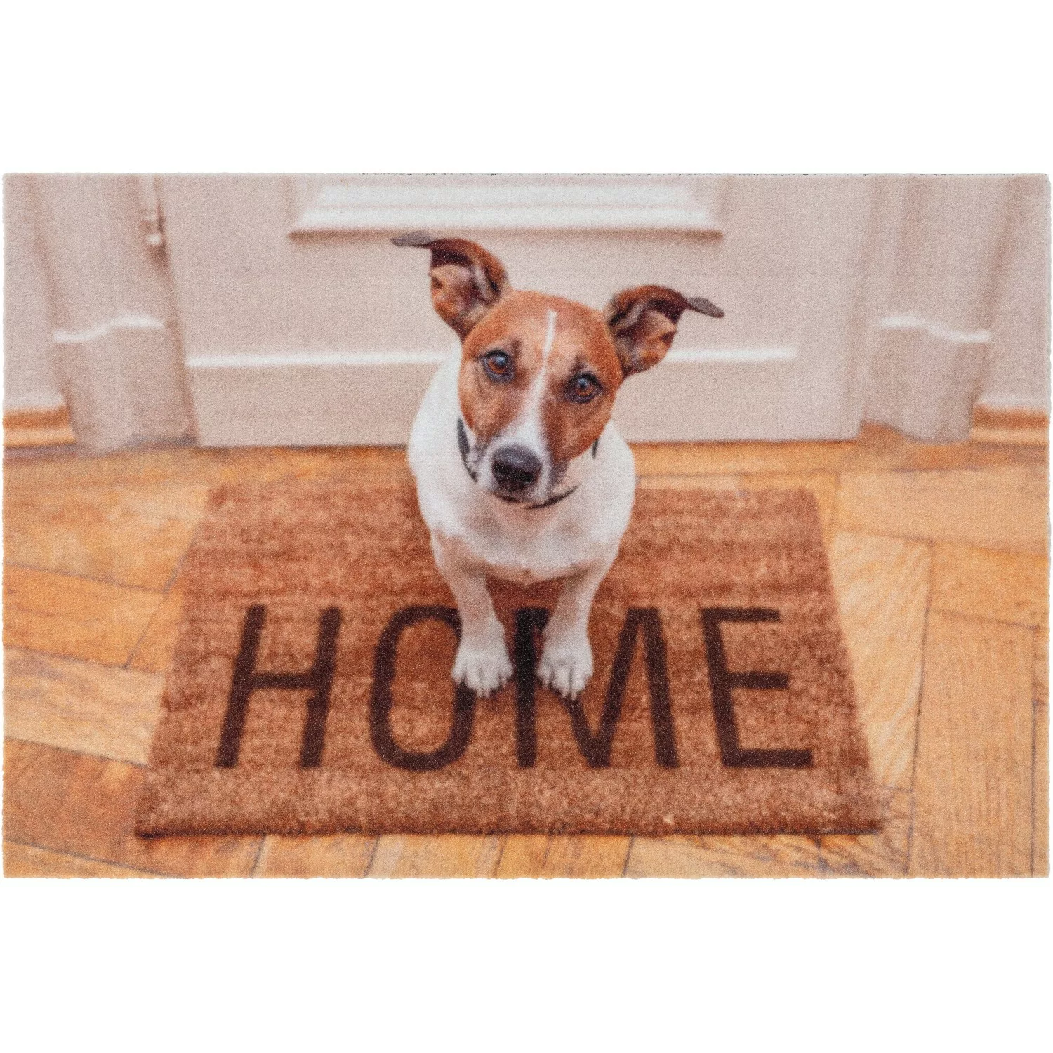 Astra Sauberlaufmatte Deco Print 40 x 60 cm Hund Home günstig online kaufen