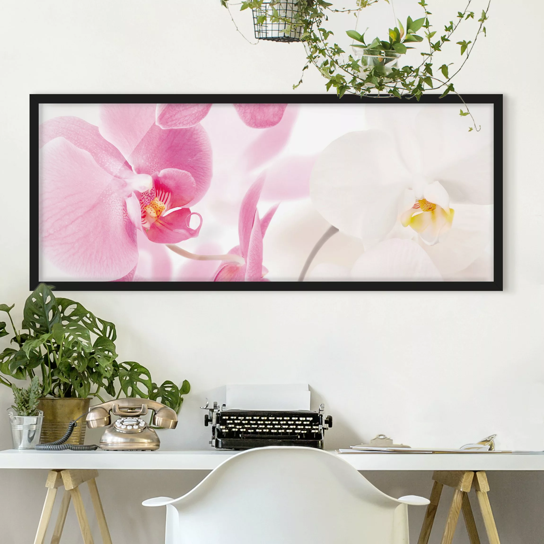 Bild mit Rahmen Blumen - Panorama Delicate Orchids günstig online kaufen
