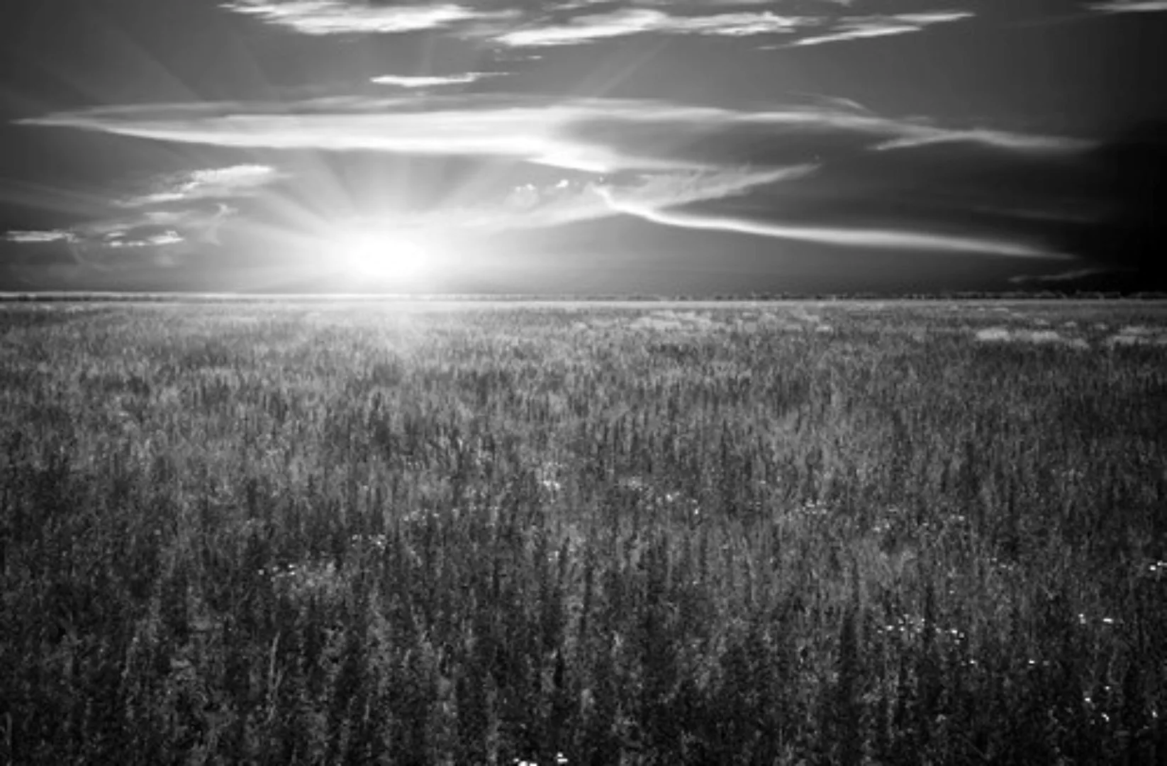 Papermoon Fototapete »Landschaft schwarz & weiß« günstig online kaufen