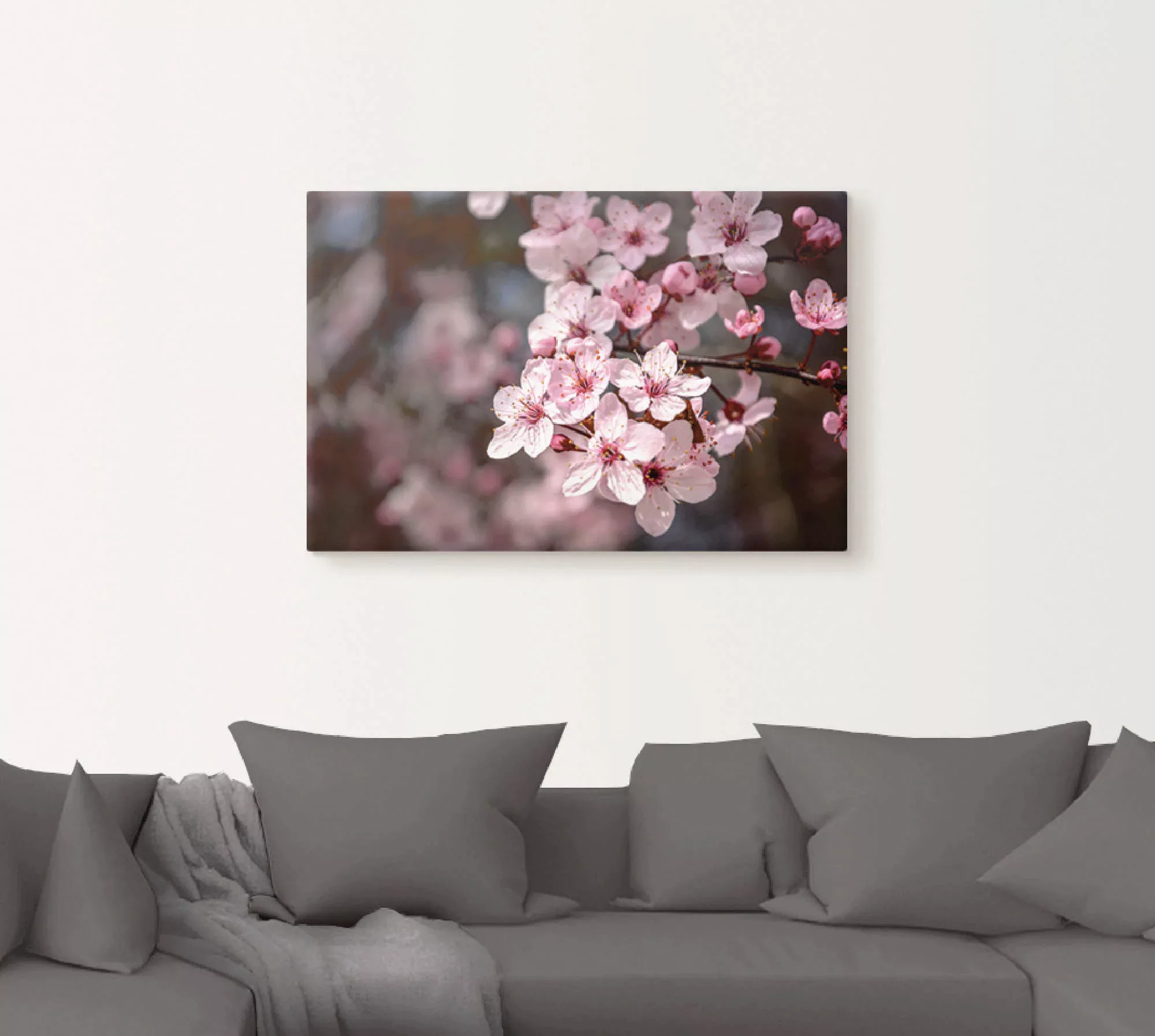 Artland Leinwandbild »Kirschblüten Nahaufnahme im Sonnenlicht«, Blumen, (1 günstig online kaufen