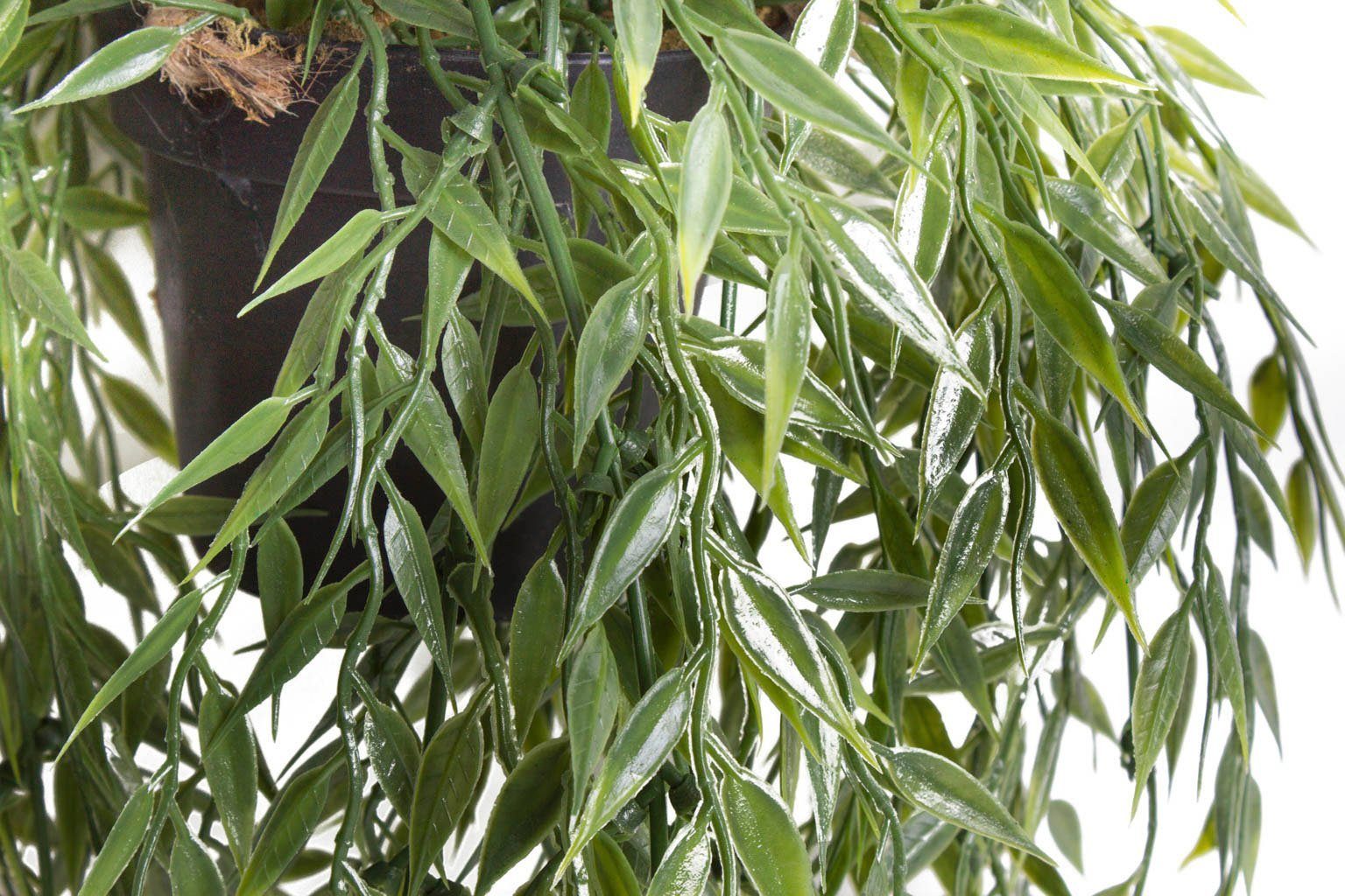 Botanic-Haus Künstliche Zimmerpflanze "Bambus-Hängeampel" günstig online kaufen