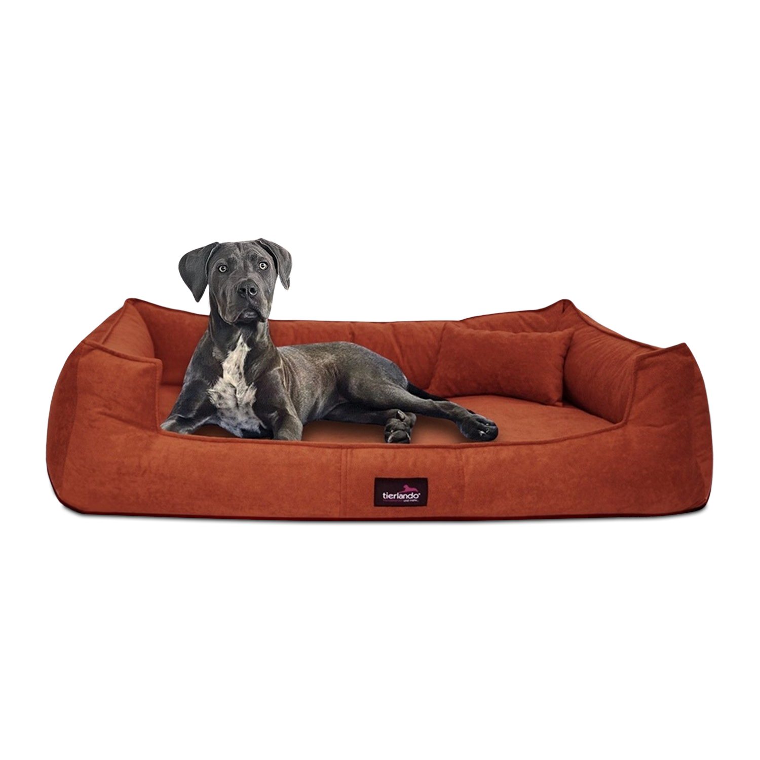 tierlando® Tierbett Orthopädisches Hundebett BRUCE VELOURS günstig online kaufen