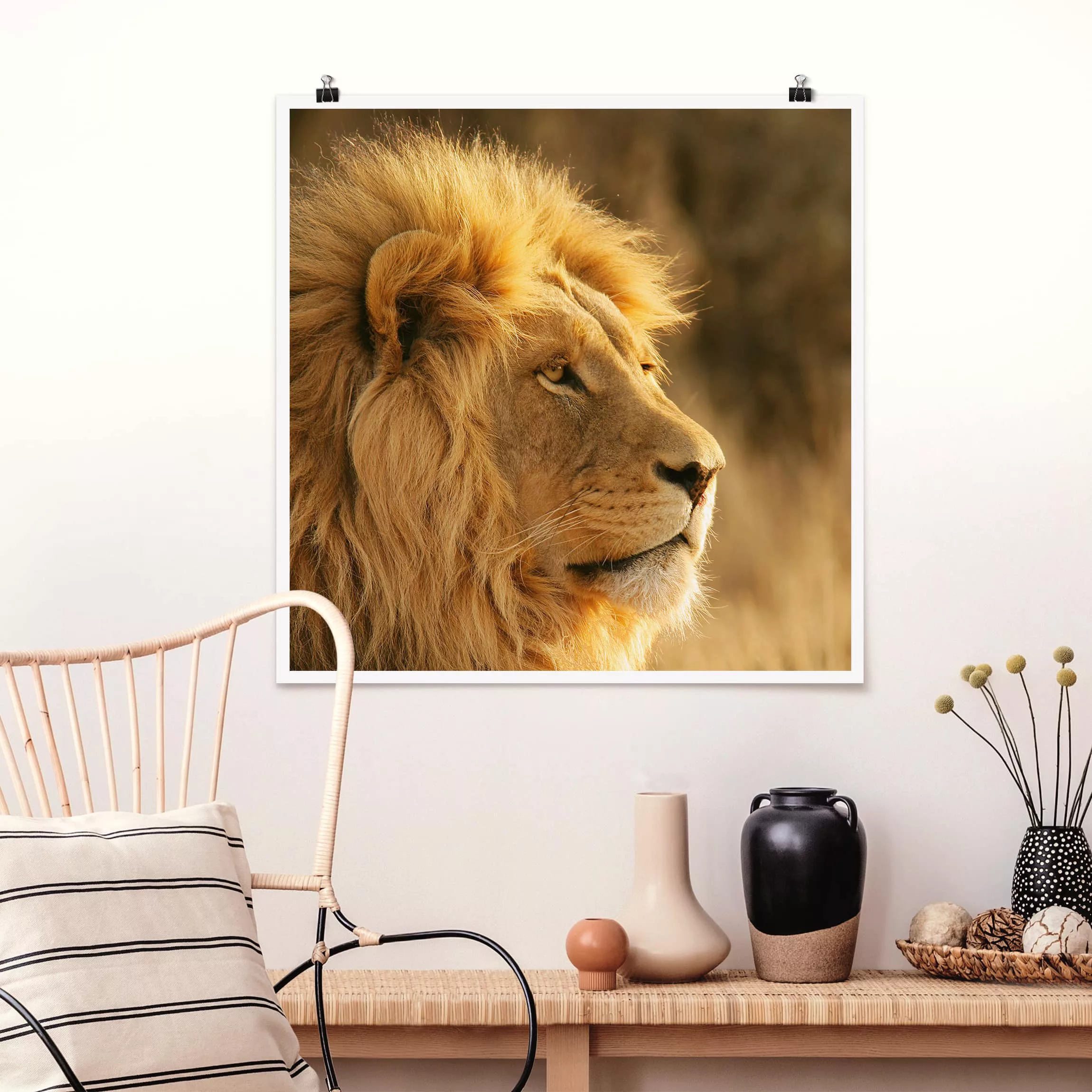 Poster Tiere - Quadrat Löwenkönig günstig online kaufen
