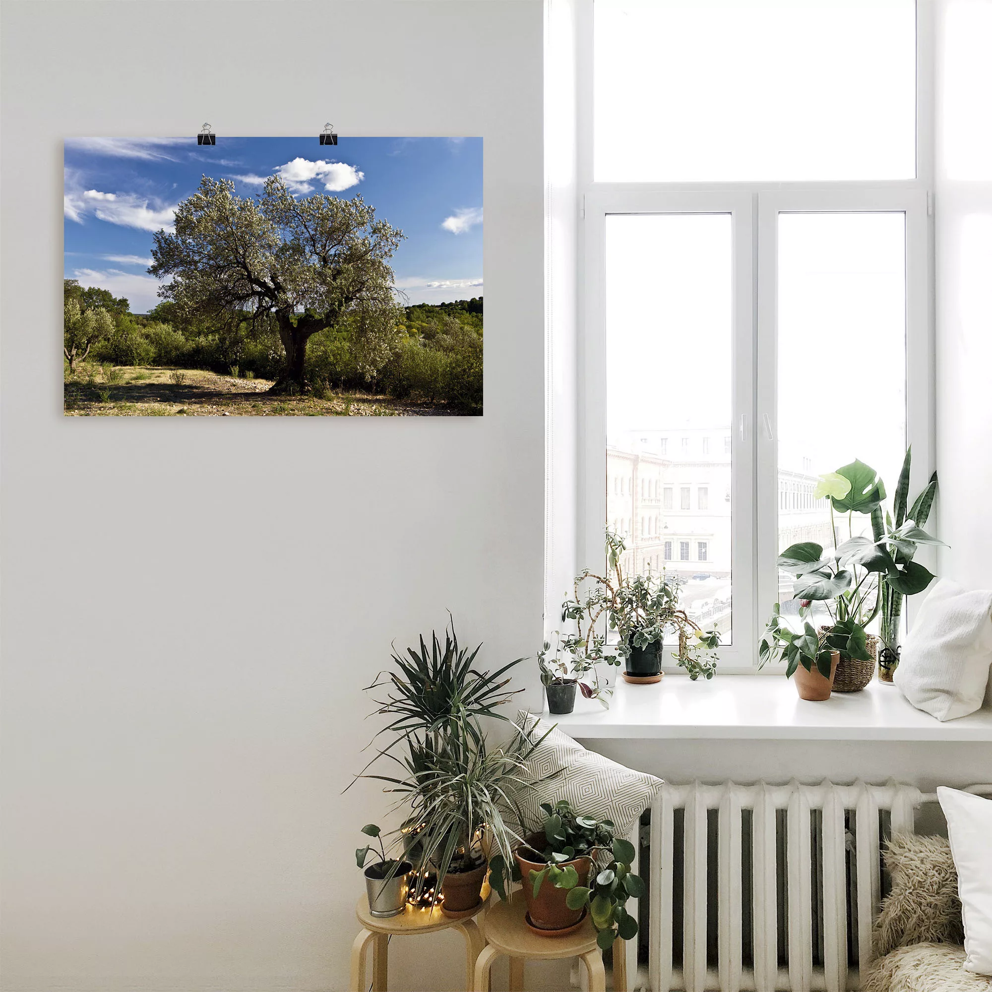 Artland Wandbild "Olivenbaum in Südfrankreich", Bäume, (1 St.), als Alubild günstig online kaufen