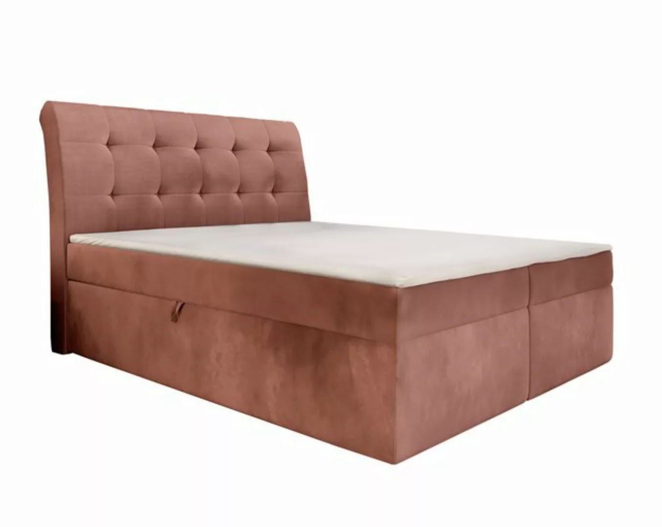 Furnix Boxspringbett DOLOREZ 120/140/160/180x200 mit tiefem Bettkasten und günstig online kaufen