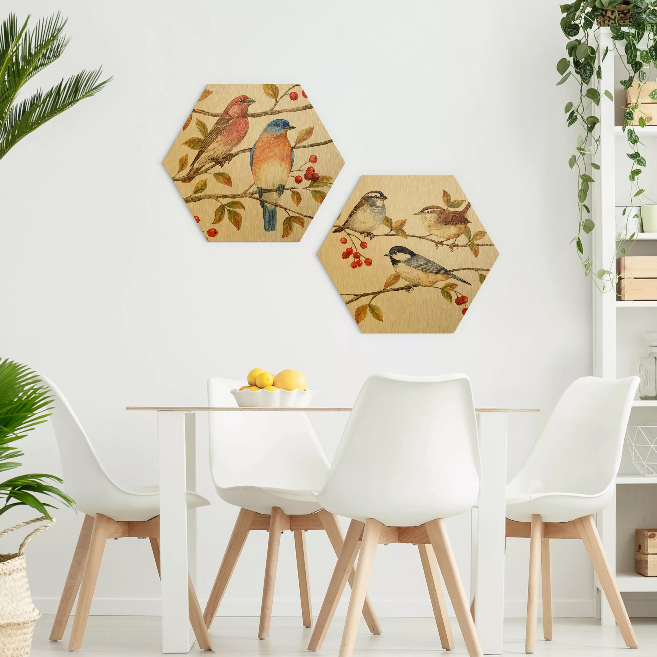 2-teiliges Hexagon-Alu-Dibond Bild Vögel und Beeren Set I günstig online kaufen