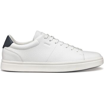 Geox Sneaker "Geox Sneaker Leder/Textil" günstig online kaufen