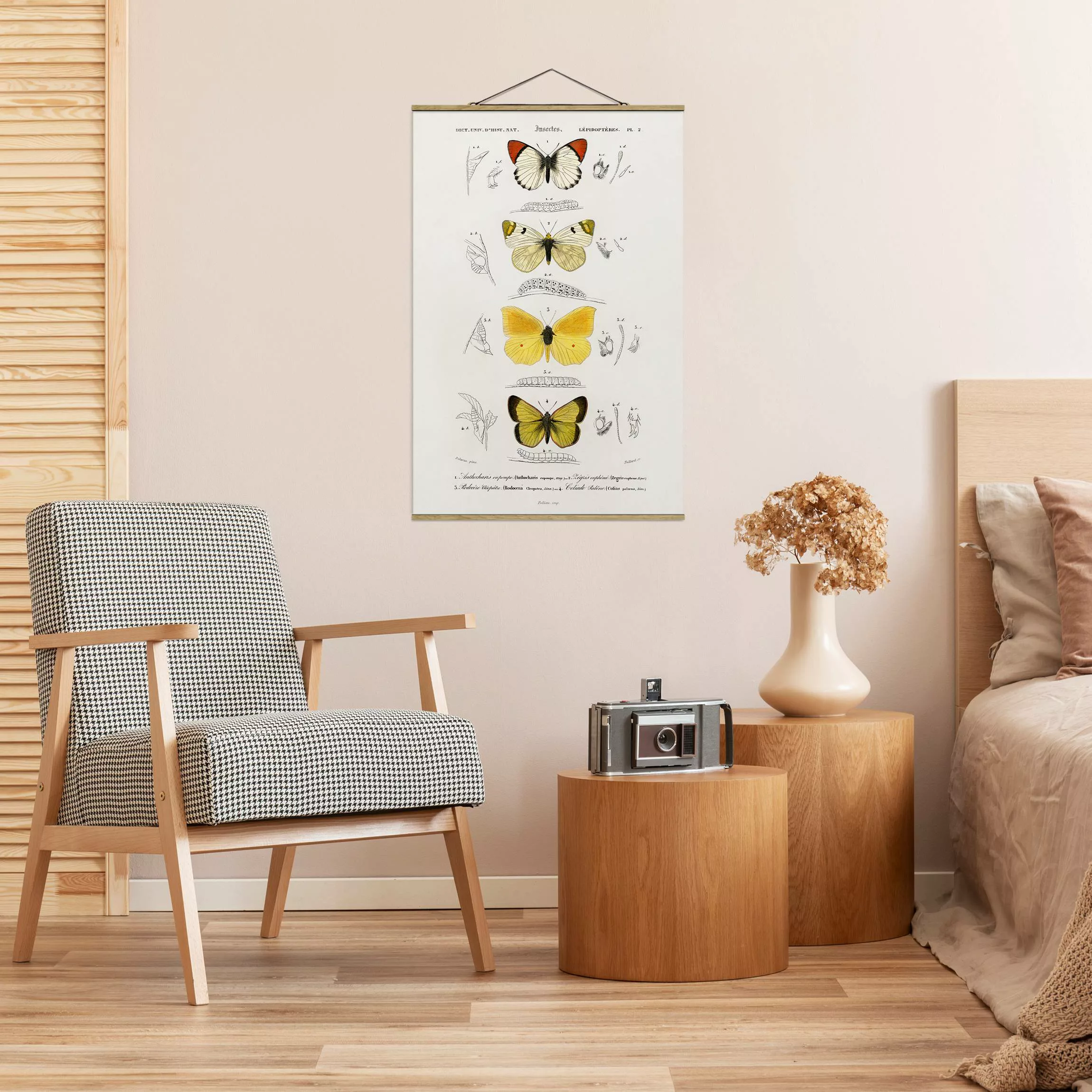 Stoffbild Tiere mit Posterleisten - Hochformat Vintage Lehrtafel Schmetterl günstig online kaufen