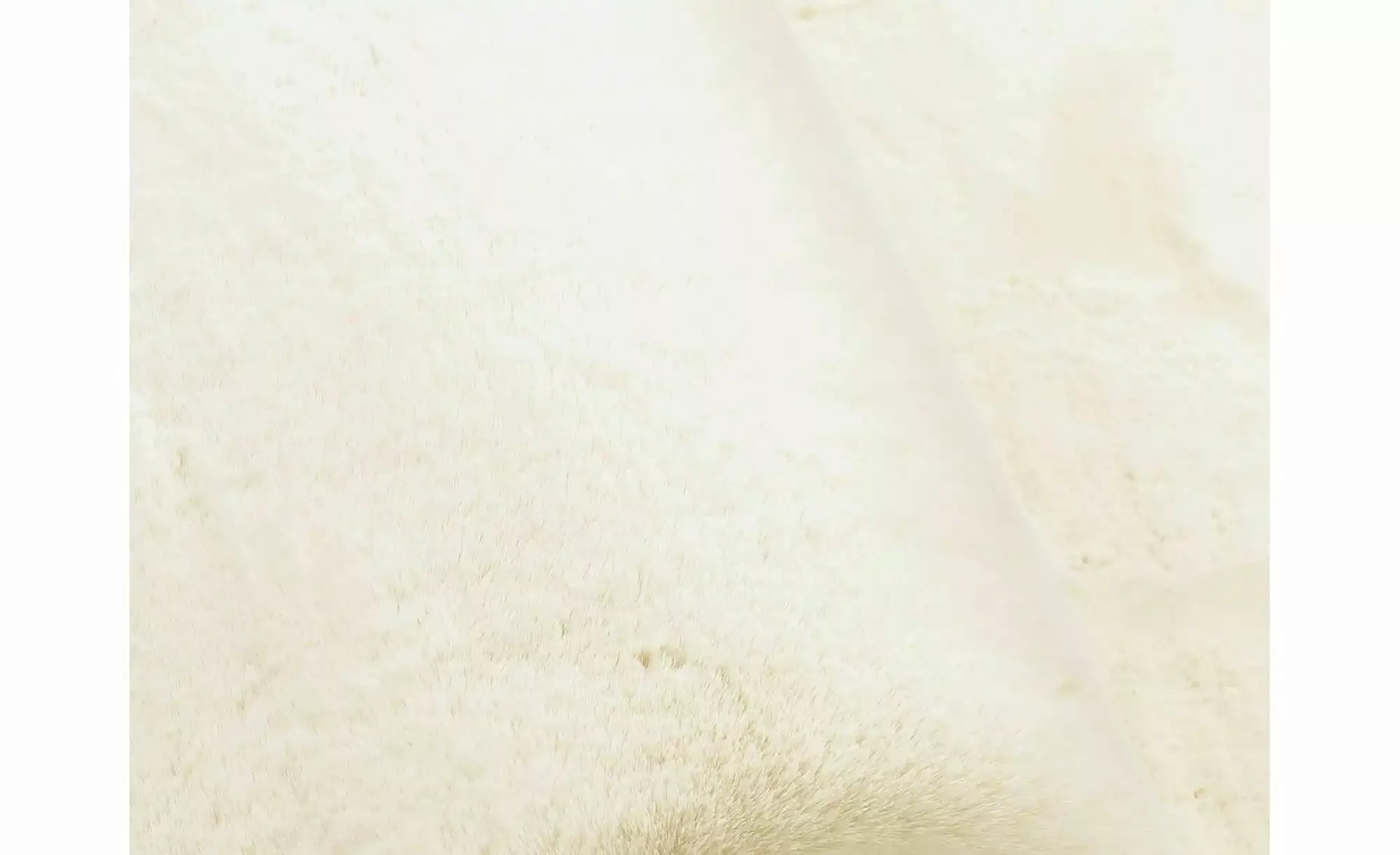 Musterring Teppich   ¦ beige ¦ Synthetische Fasern ¦ Maße (cm): B: 80 H: 3, günstig online kaufen