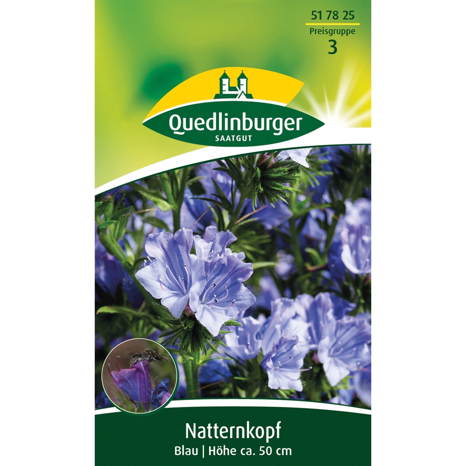 Quedlinburger Natternkopf Blau günstig online kaufen