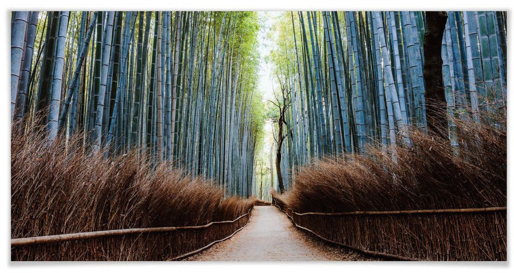 Wall-Art Poster "Bambuswald Fotokunst Japan", Höhlen, (Set, 1 St.), Poster günstig online kaufen