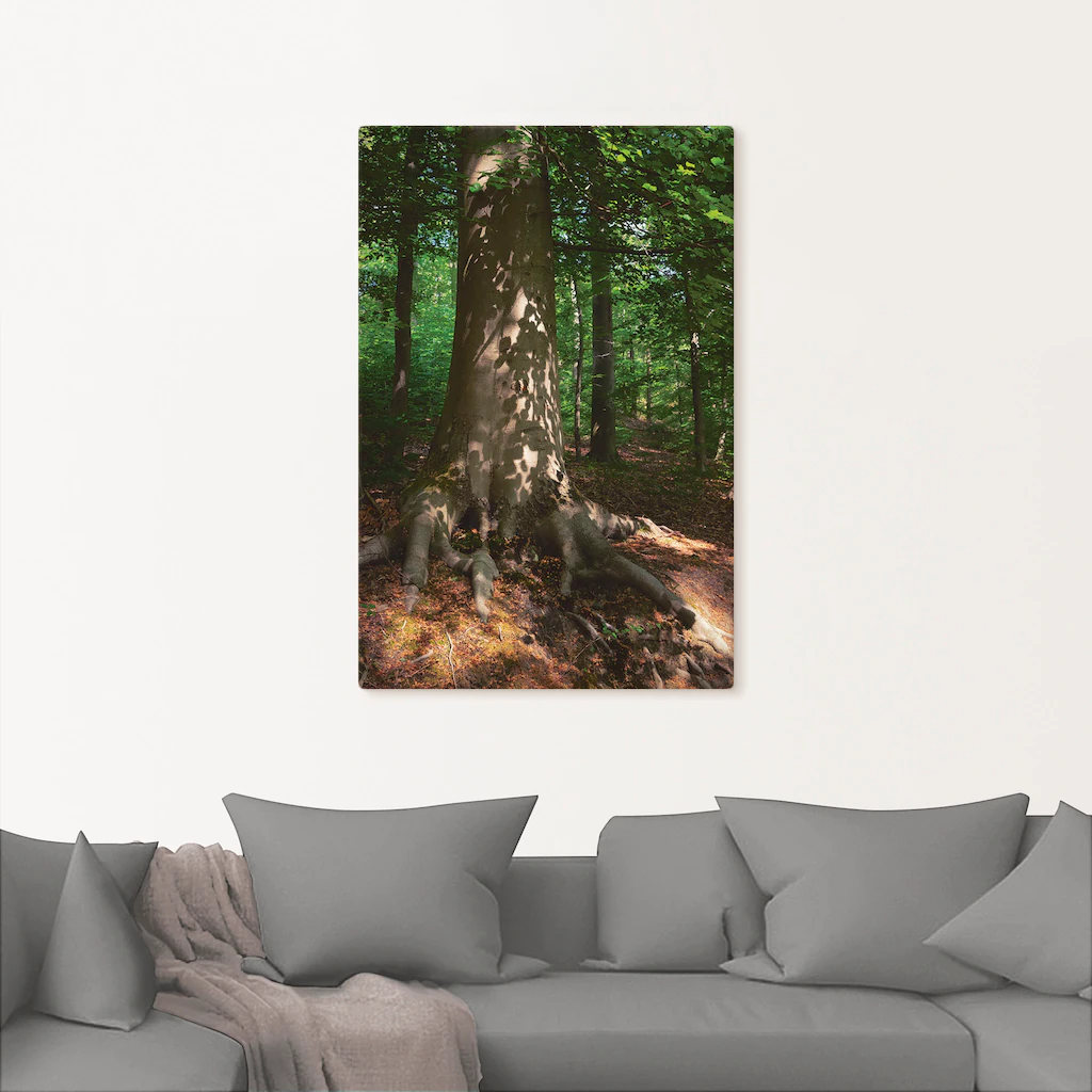 Artland Wandbild "Waldimpression", Baumbilder, (1 St.), als Leinwandbild, P günstig online kaufen