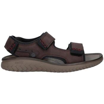 Clarks  Sandalen 26165234 WESLEY BAY günstig online kaufen